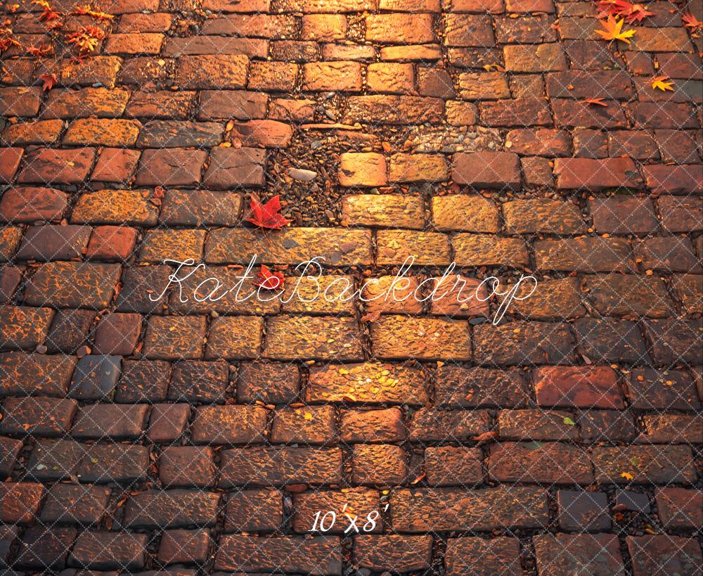 Kate Fleece Autumn Brick Floor Backdrop Designed by Emetselch - Kate Backdrop AU
