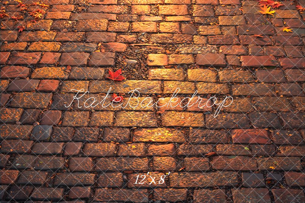 Kate Fleece Autumn Brick Floor Backdrop Designed by Emetselch - Kate Backdrop AU