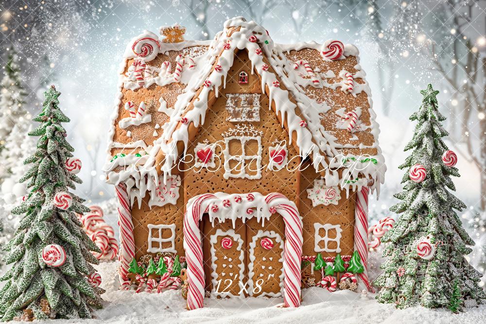 Kate Christmas Snow Gingerbread House Backdrop Designed by Chain Photography