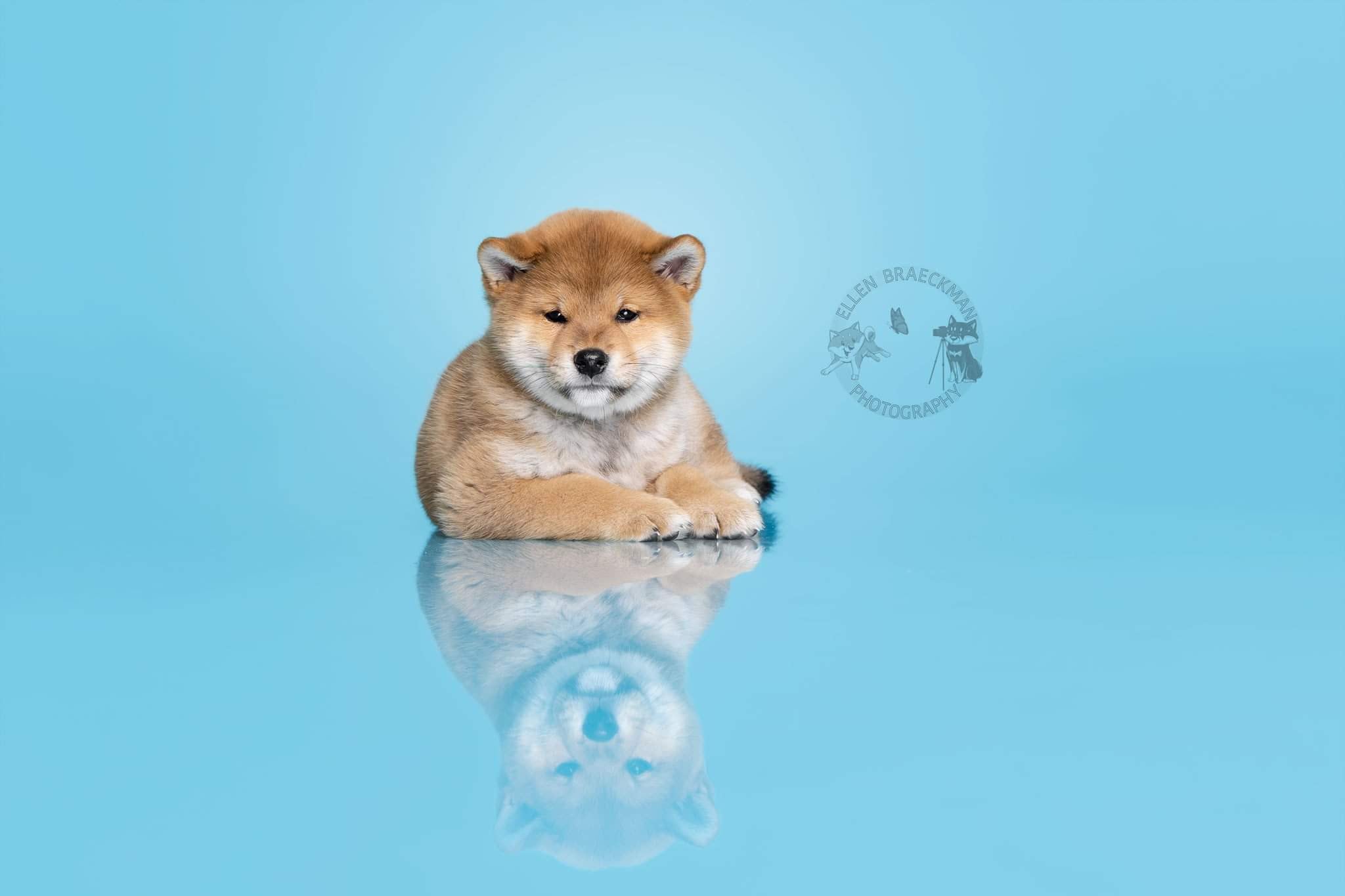 Kate Sky Blue Seamless Paper Backdrop for Photography