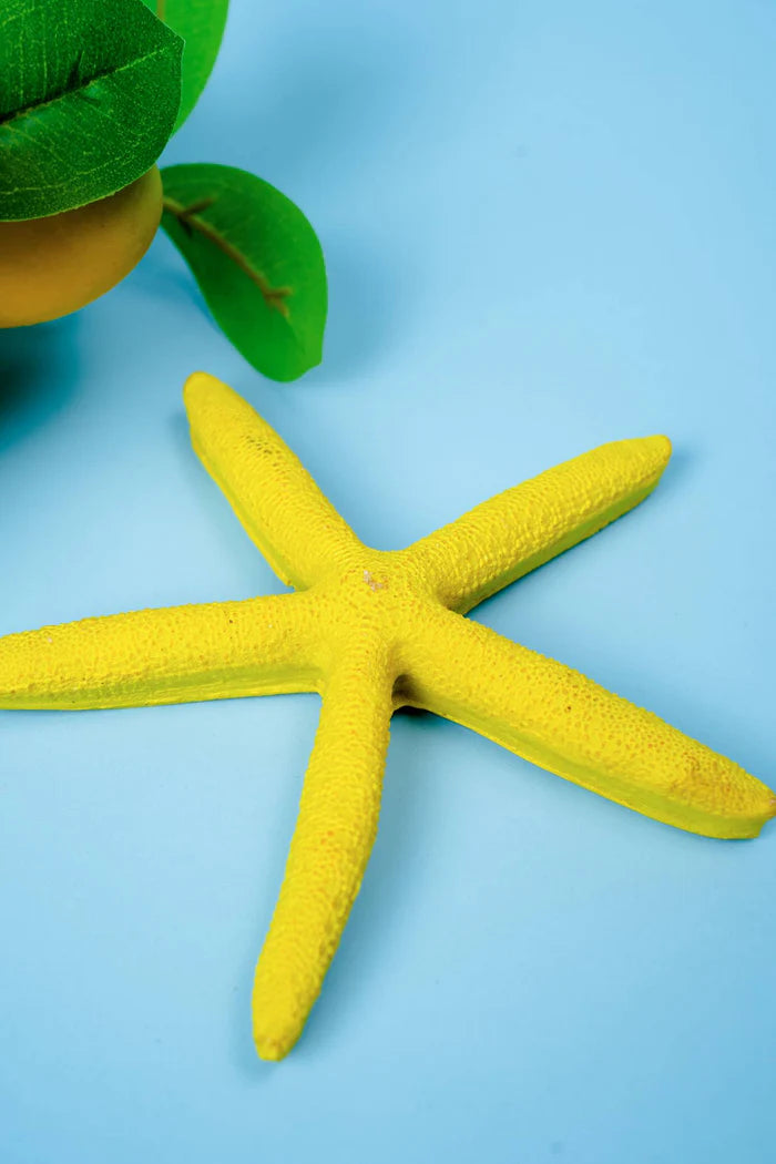 Kate Sky Blue Seamless Paper Backdrop for Photography - Kate Backdrop AU