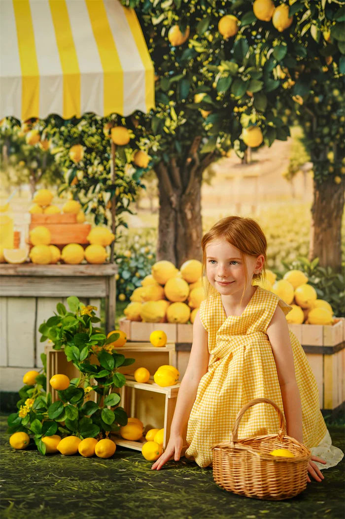 Kate Summer Lemonade Stand Photo Kit - Kate Backdrop AU