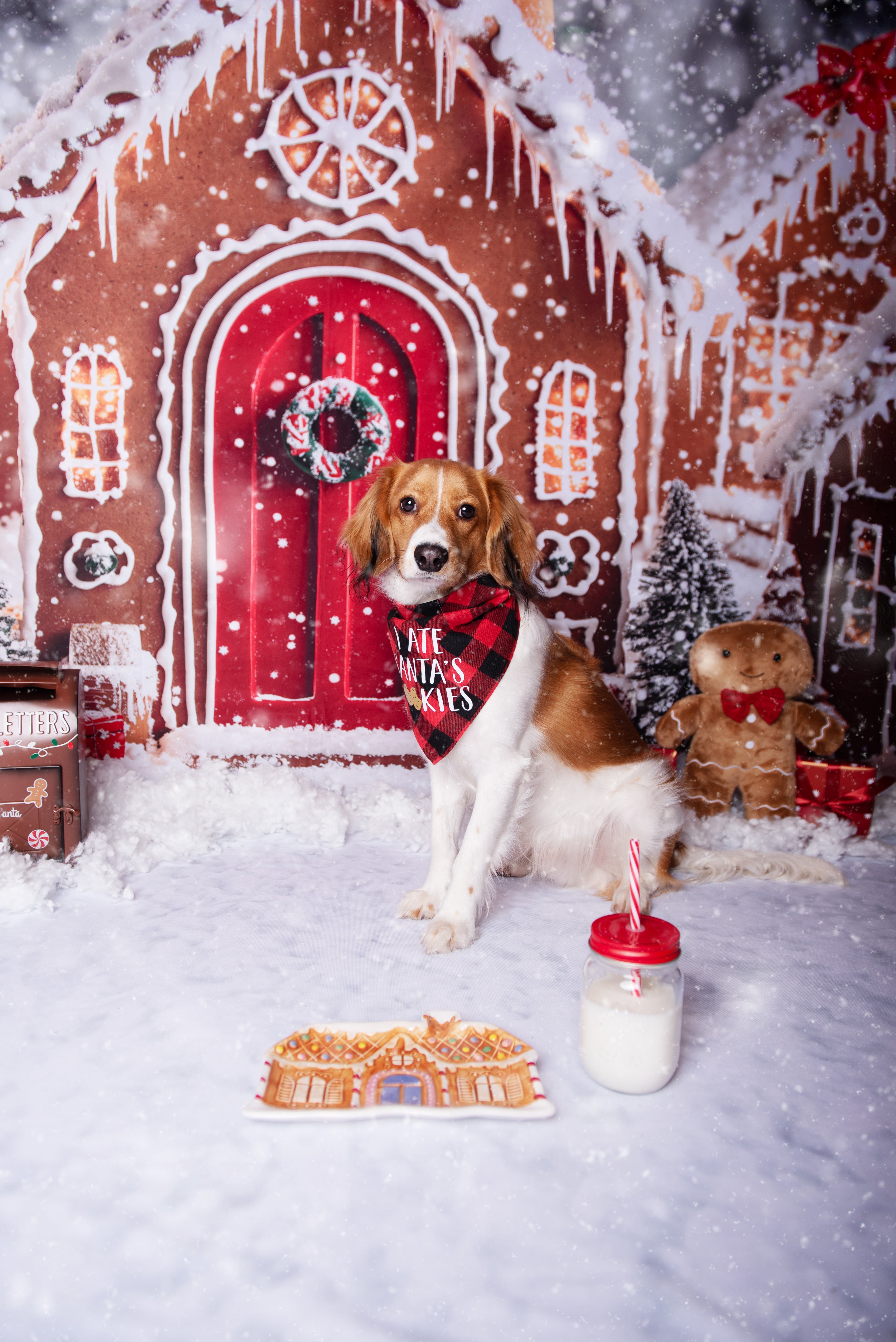 Kate Christmas Gingerbread Houses Snowy Backdrop+Winter Snow Floor Backdrop - Kate Backdrop AU