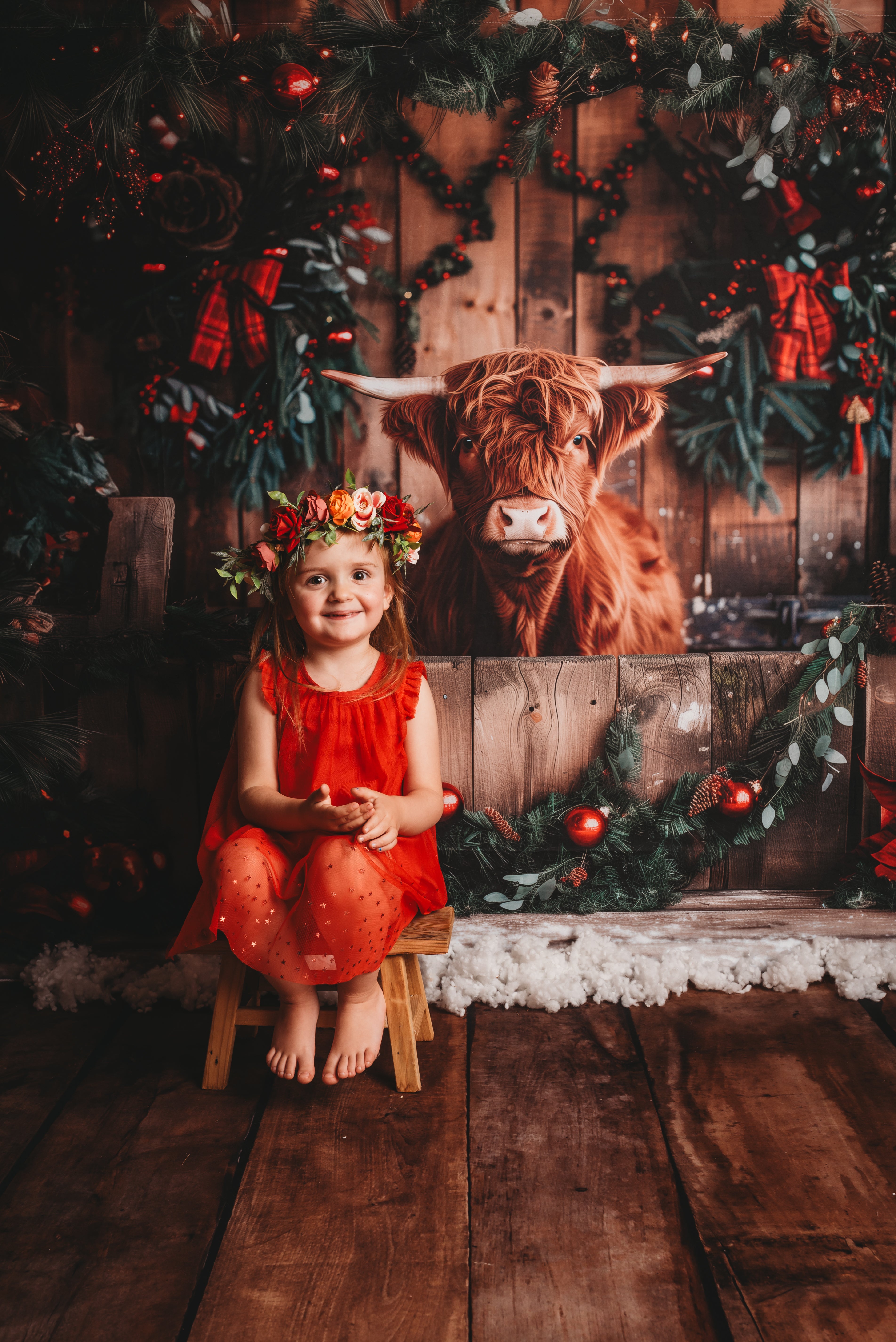 Kate Rustic Christmas Highland Cow Backdrop Designed by Patty Roberts - Kate Backdrop AU