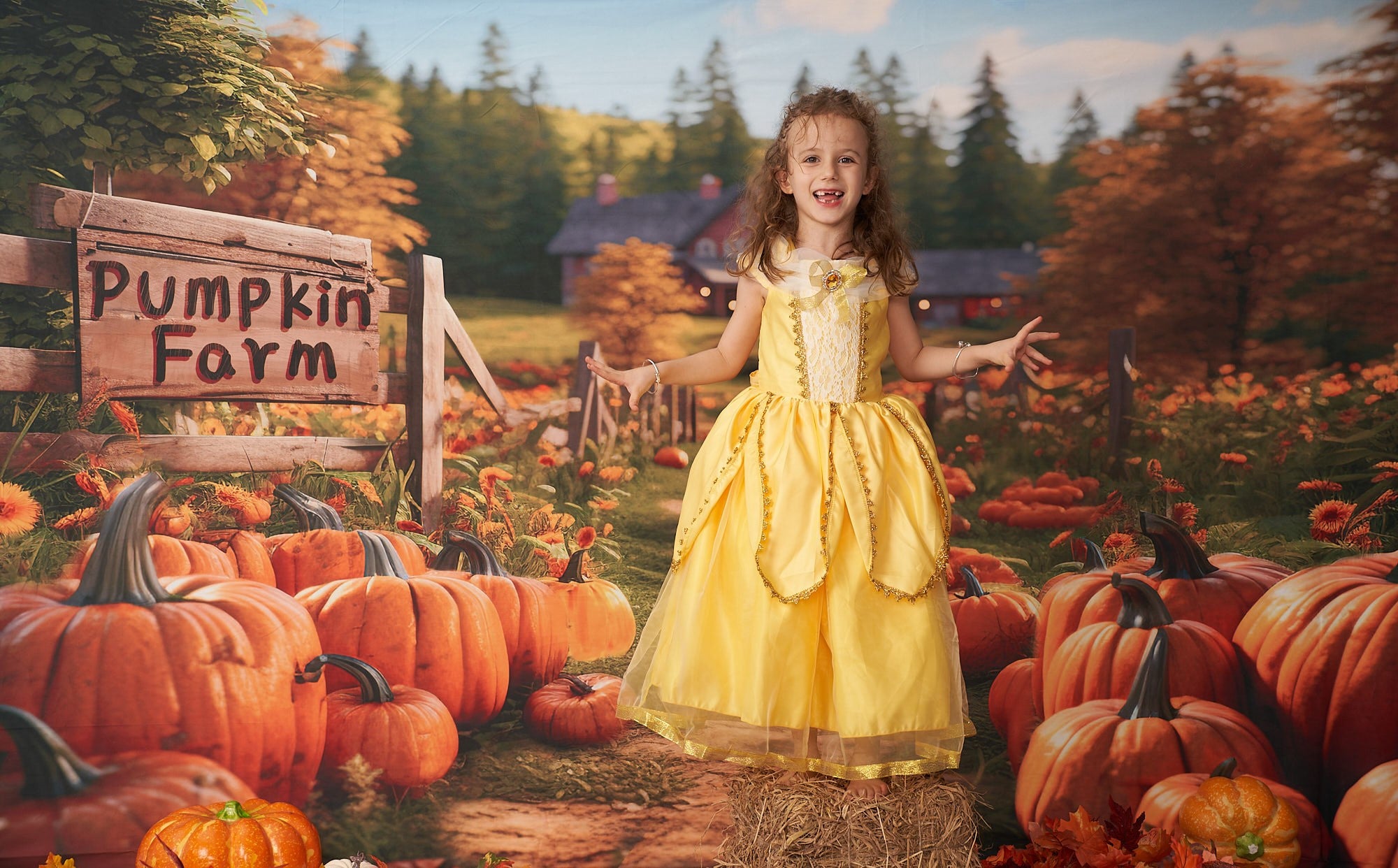 Kate Autumn Pumpkin Farm Backdrop Designed by Emetselch - Kate Backdrop AU