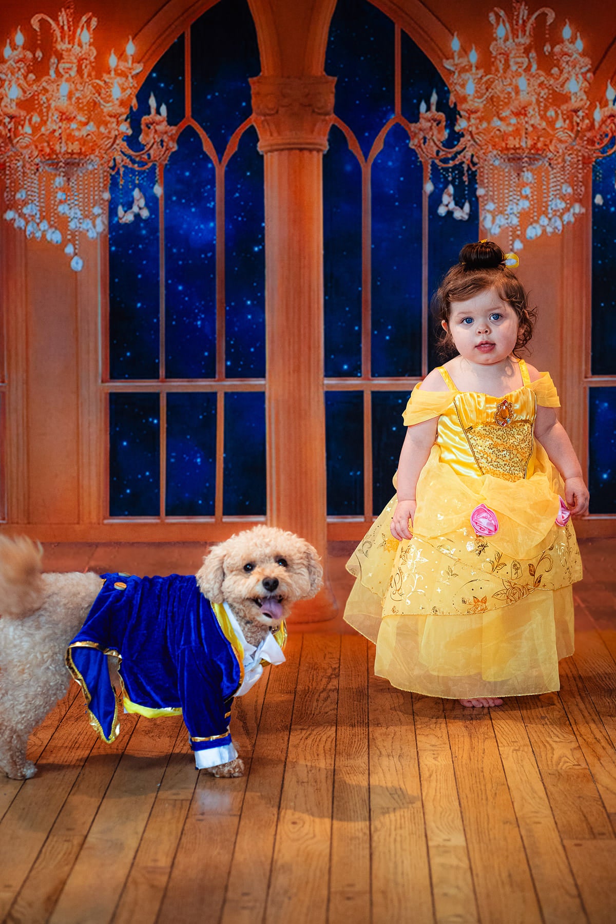 Kate Beauty and the Beast Window Chandelier Backdrop Designed By Jerry_Sina - Kate Backdrop AU