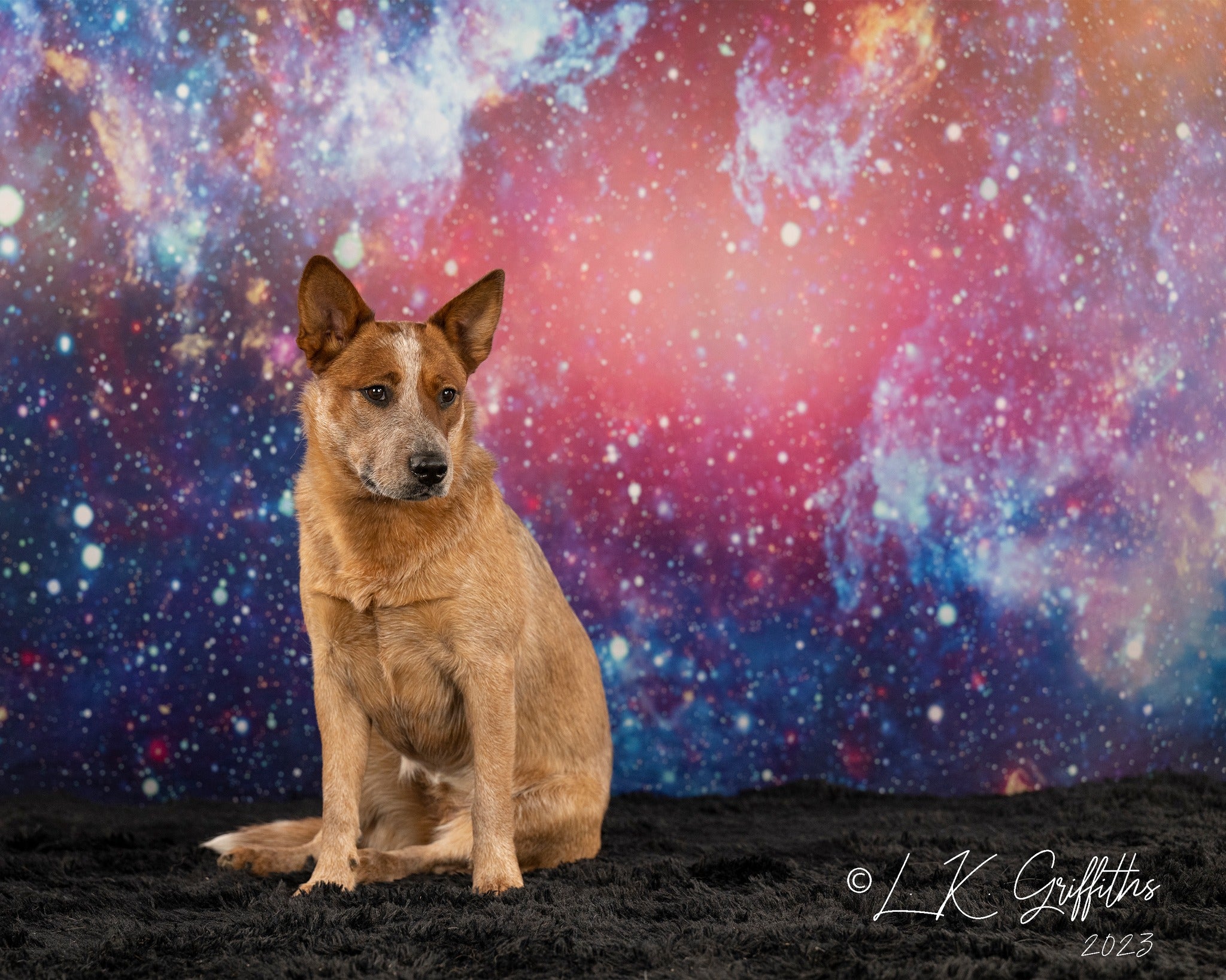 Kate Colorful Galaxy Outer Space Backdrop for photography - Kate Backdrop AU