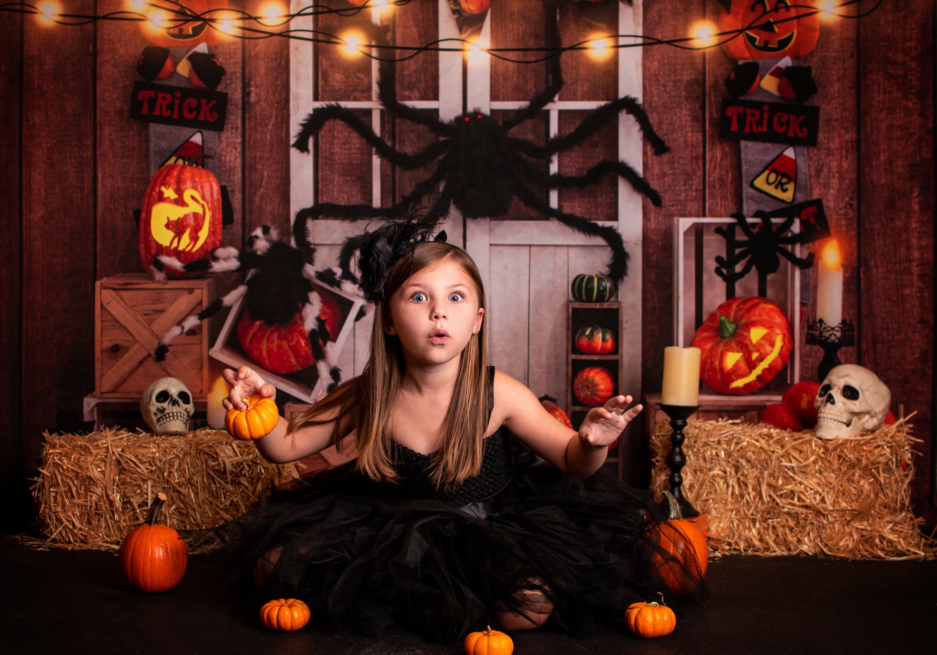 Kate Halloween Pumpkin Spider Thanksgiving Backdrop Designed by Emetselch - Kate Backdrop AU