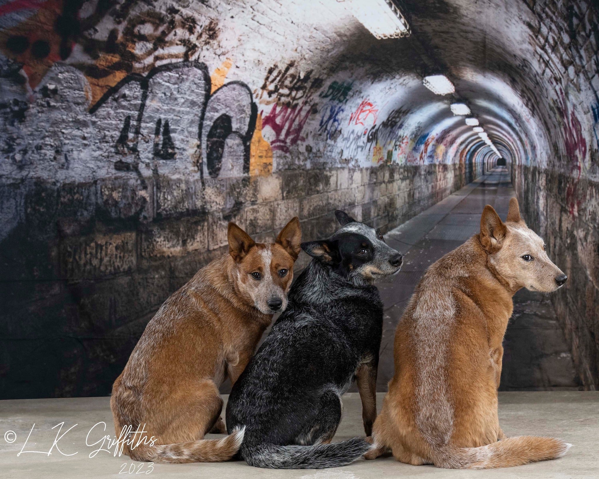 Kate Graffiti Wall Tunnel Building Backdrop For Photography - Kate Backdrop AU