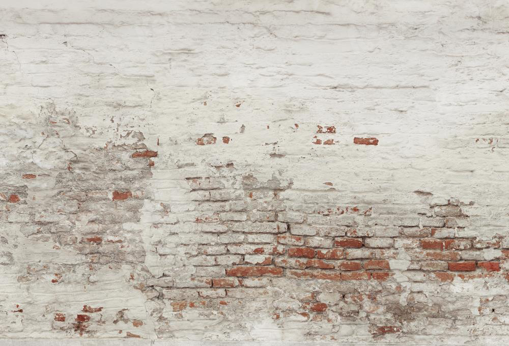 Kate Damaged Brick White Wall  Backdrop for Photography Designed by Pine Park Collection - Kate Backdrop AU