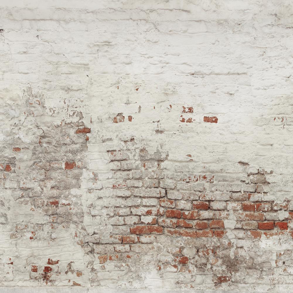 Kate Damaged Brick White Wall  Backdrop for Photography Designed by Pine Park Collection - Kate Backdrop AU