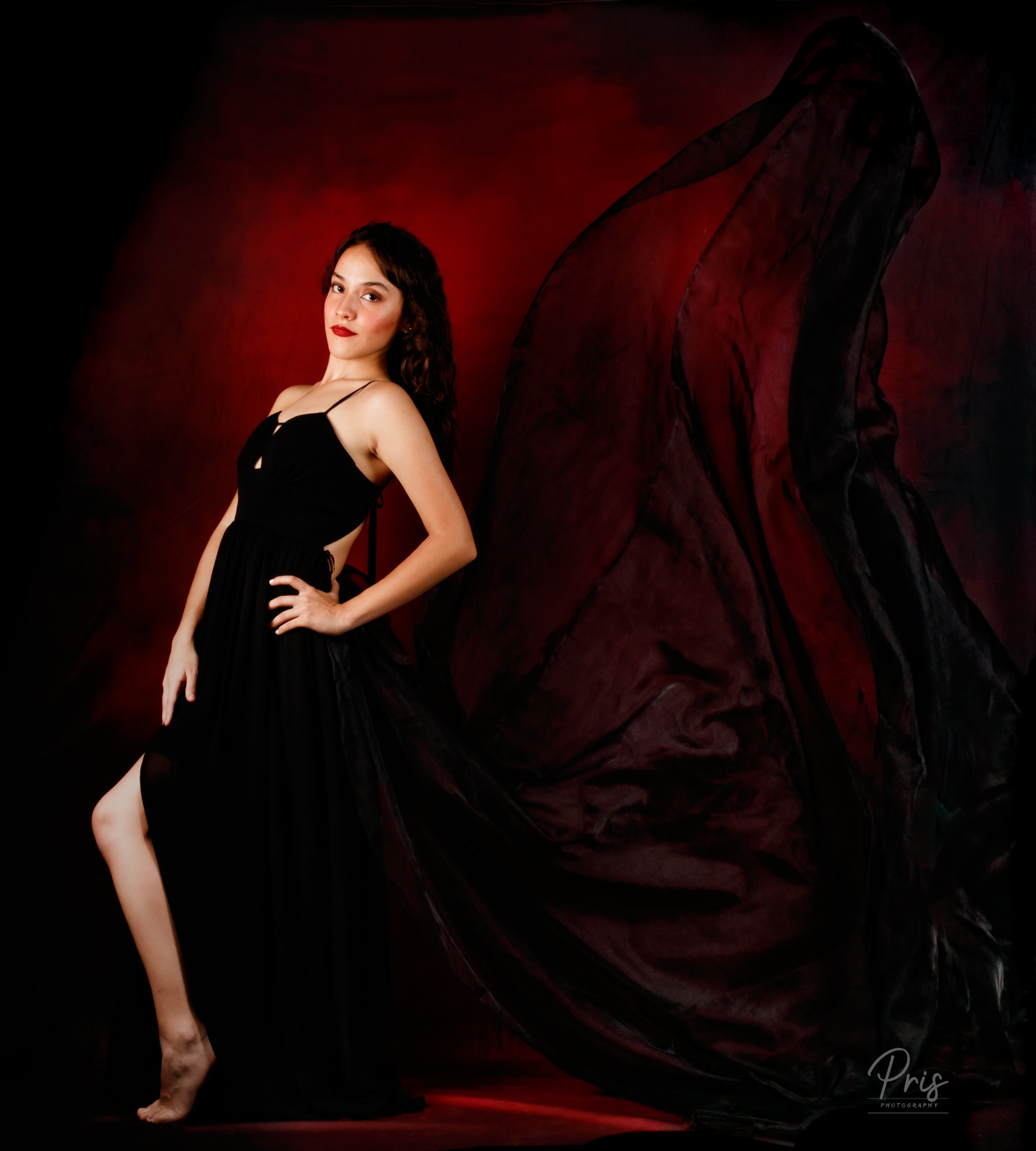 Kate Abstract Dark Rose Red Backdrop for Photography - Kate Backdrop AU