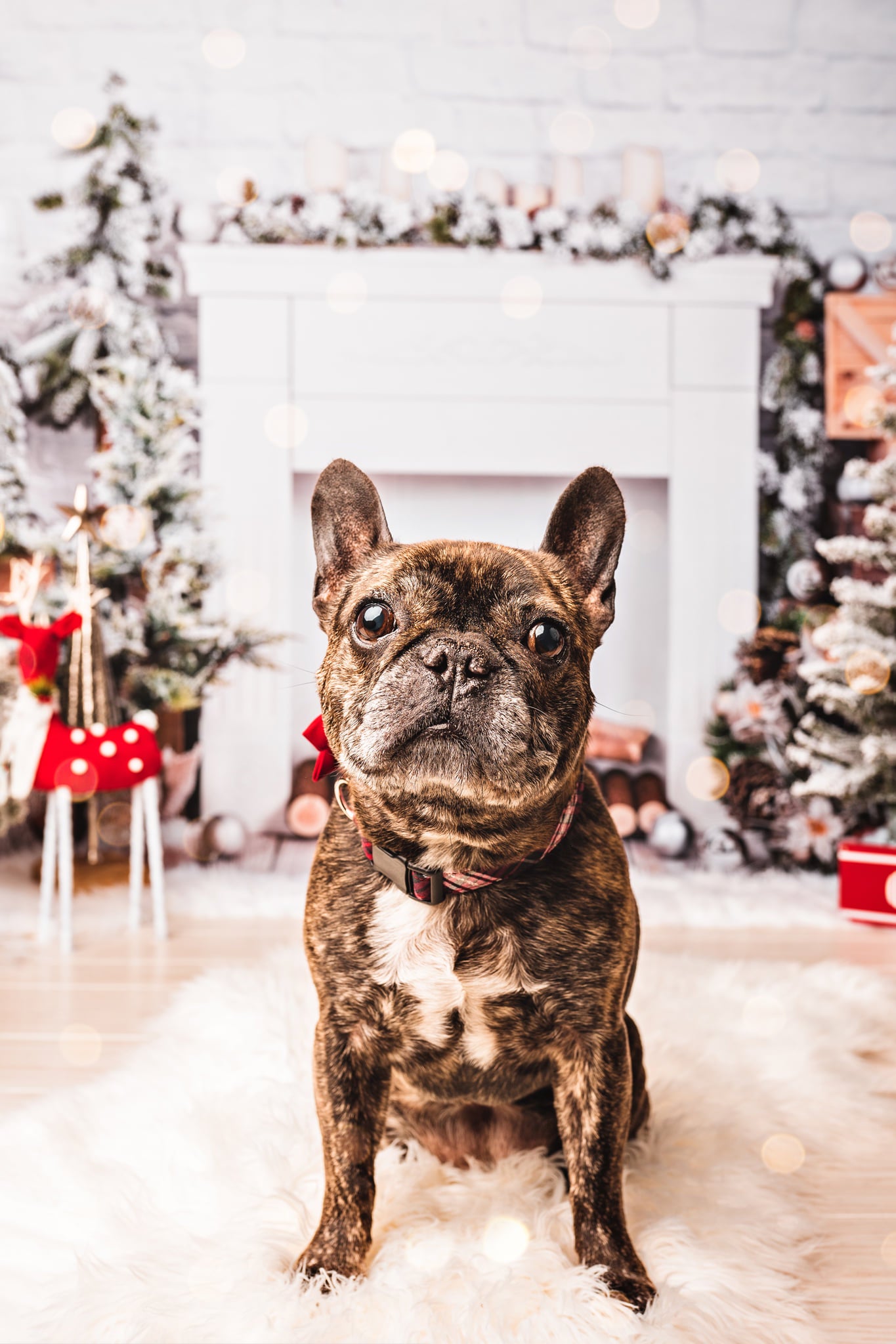 Kate Christmas Brick Fireplace Backdrop Designed by Emetselch - Kate Backdrop AU