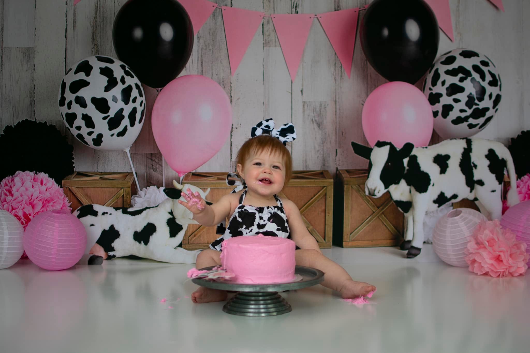Kate Cow Girly Birthday Children Backdrop Designed By Mandy Ringe Photography - Kate Backdrop AU