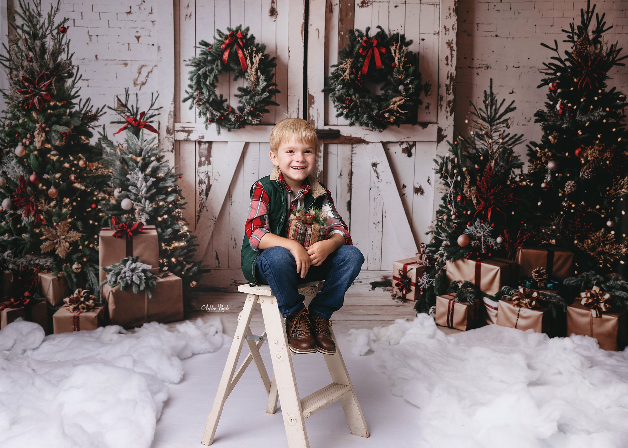 Kate Christmas Backdrop White Shabby Barn Door Designed by Emetselch - Kate Backdrop AU
