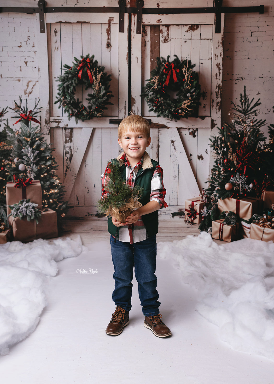 Kate Christmas Backdrop White Shabby Barn Door Designed by Emetselch - Kate Backdrop AU