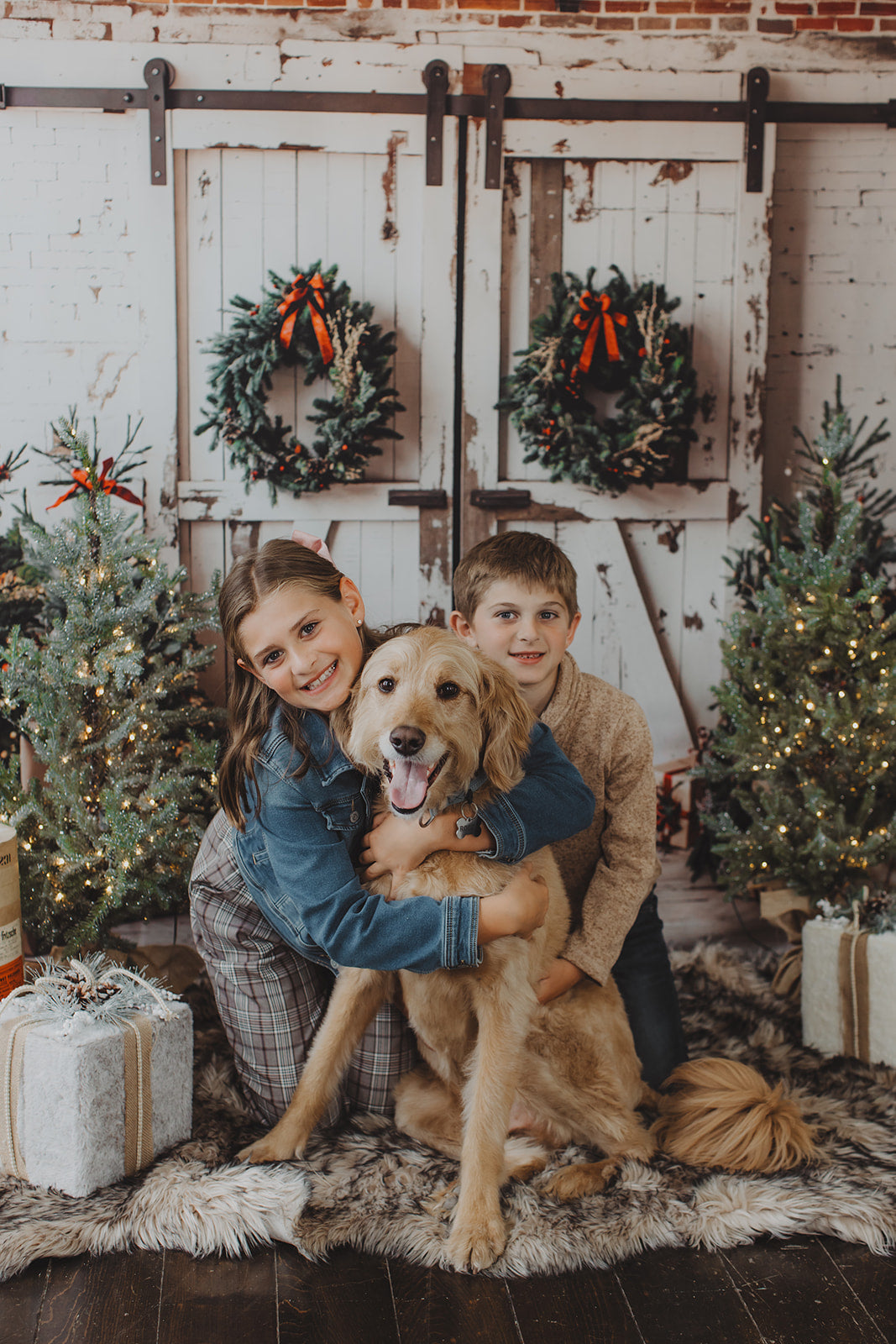 Kate Christmas Backdrop White Shabby Barn Door Designed by Emetselch - Kate Backdrop AU