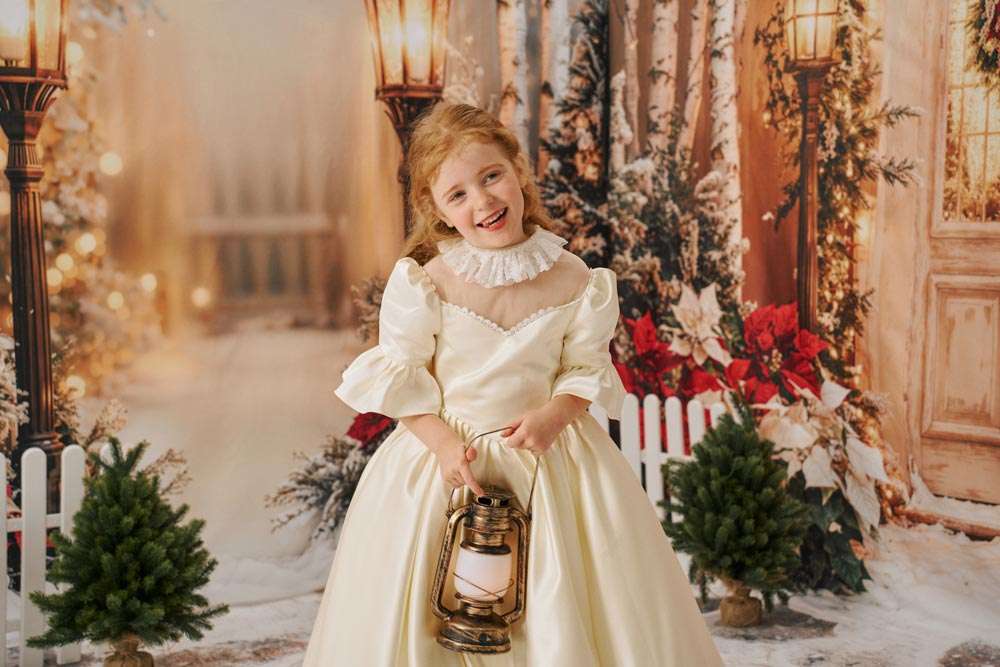 Kate Christmas Street Lights Trees Room Set - Kate Backdrop AU
