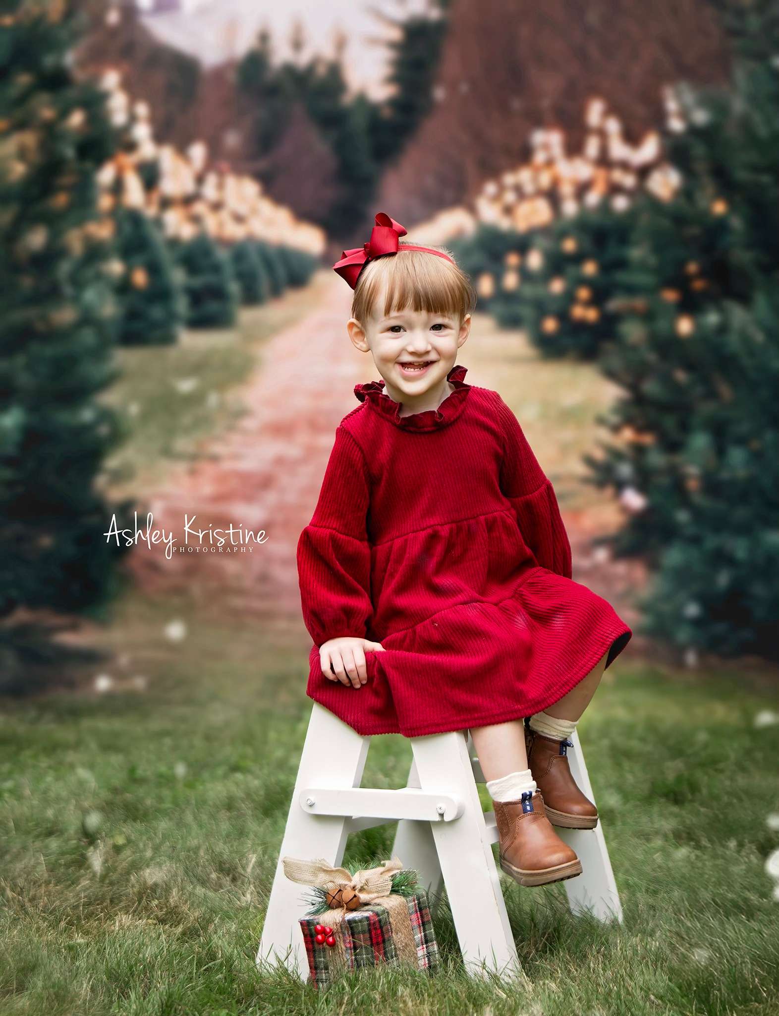 Kate Christmas Tree Farm Fleece Backdrop Designed by Emetselch - Kate Backdrop AU