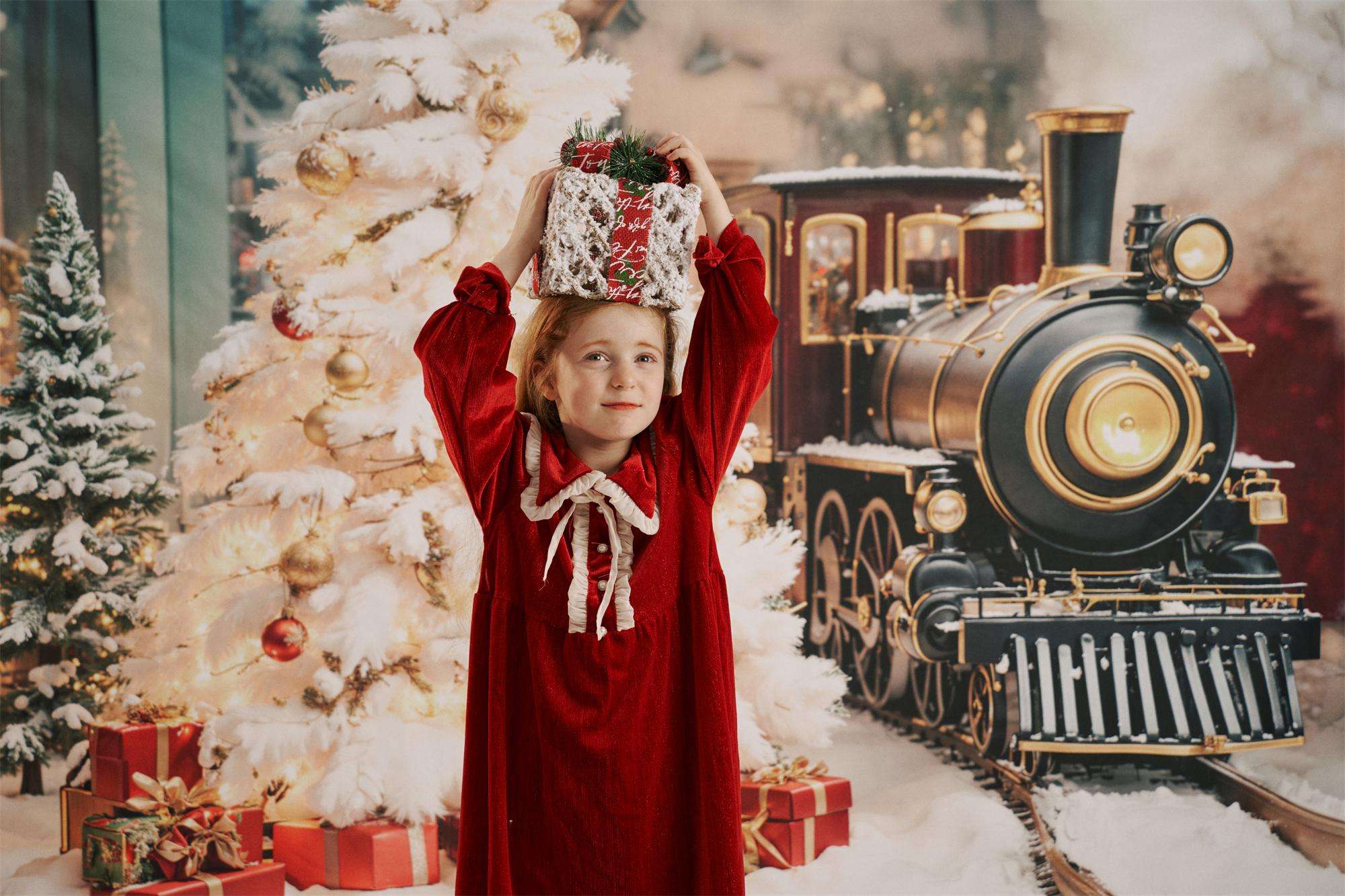 Kate Christmas Tree Train Backdrop+Winter Snow Floor Backdrop - Kate Backdrop AU