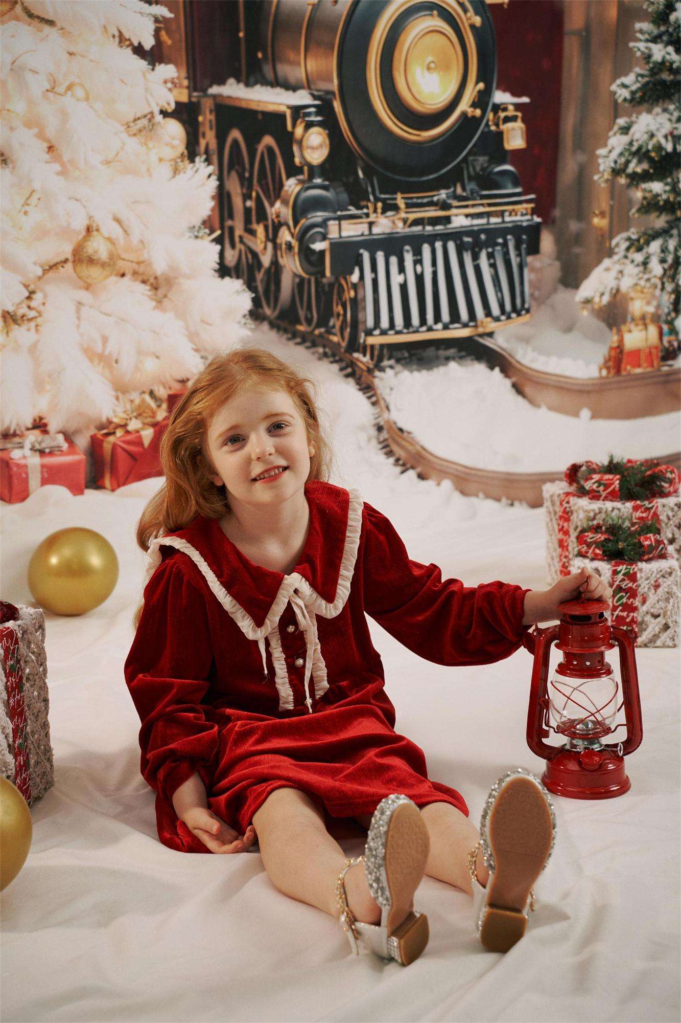 Kate Christmas Tree Train Backdrop+Winter Snow Floor Backdrop