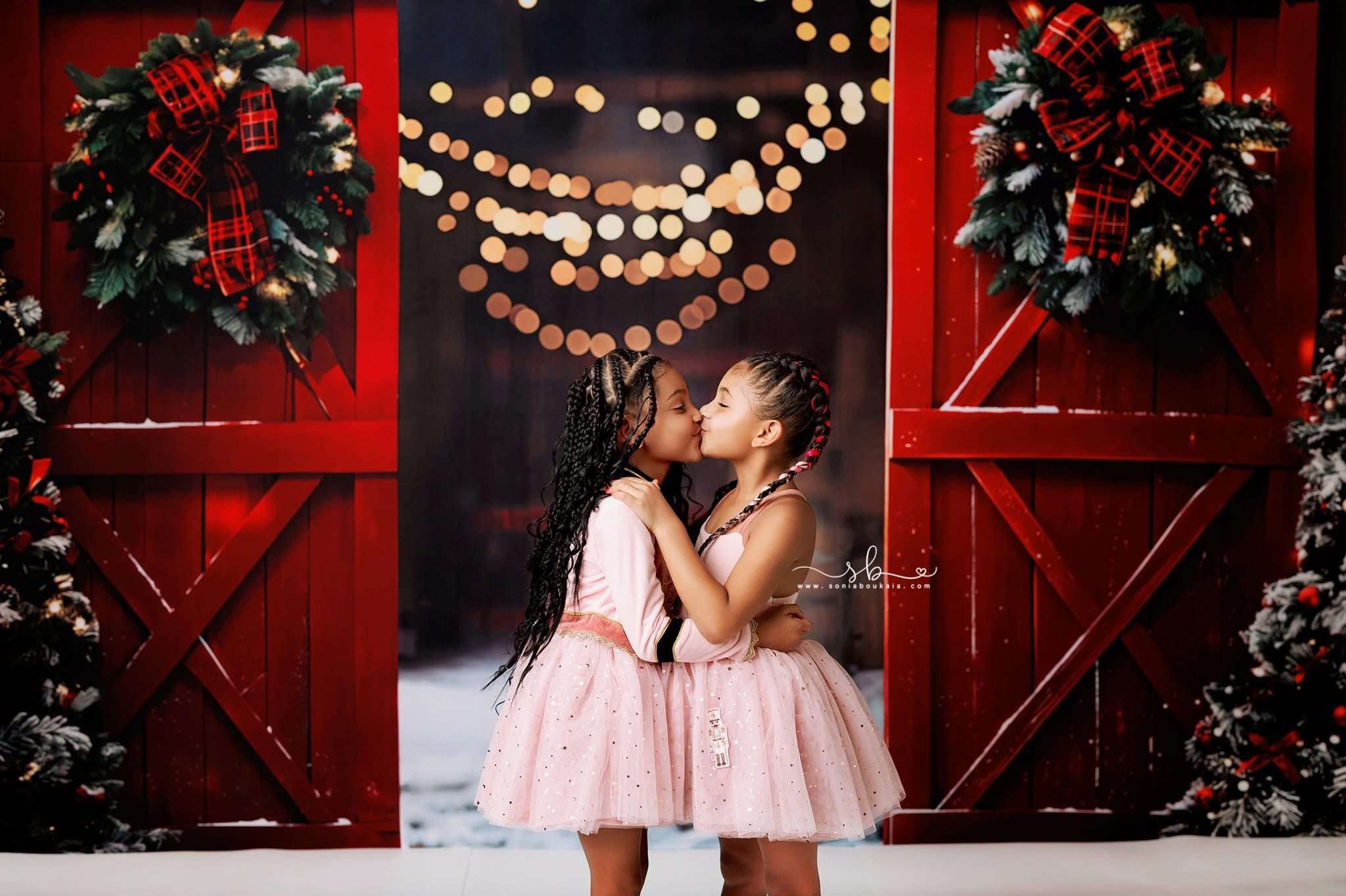 Kate Red Christmas Wooden Door Backdrop Designed by Emetselch - Kate Backdrop AU