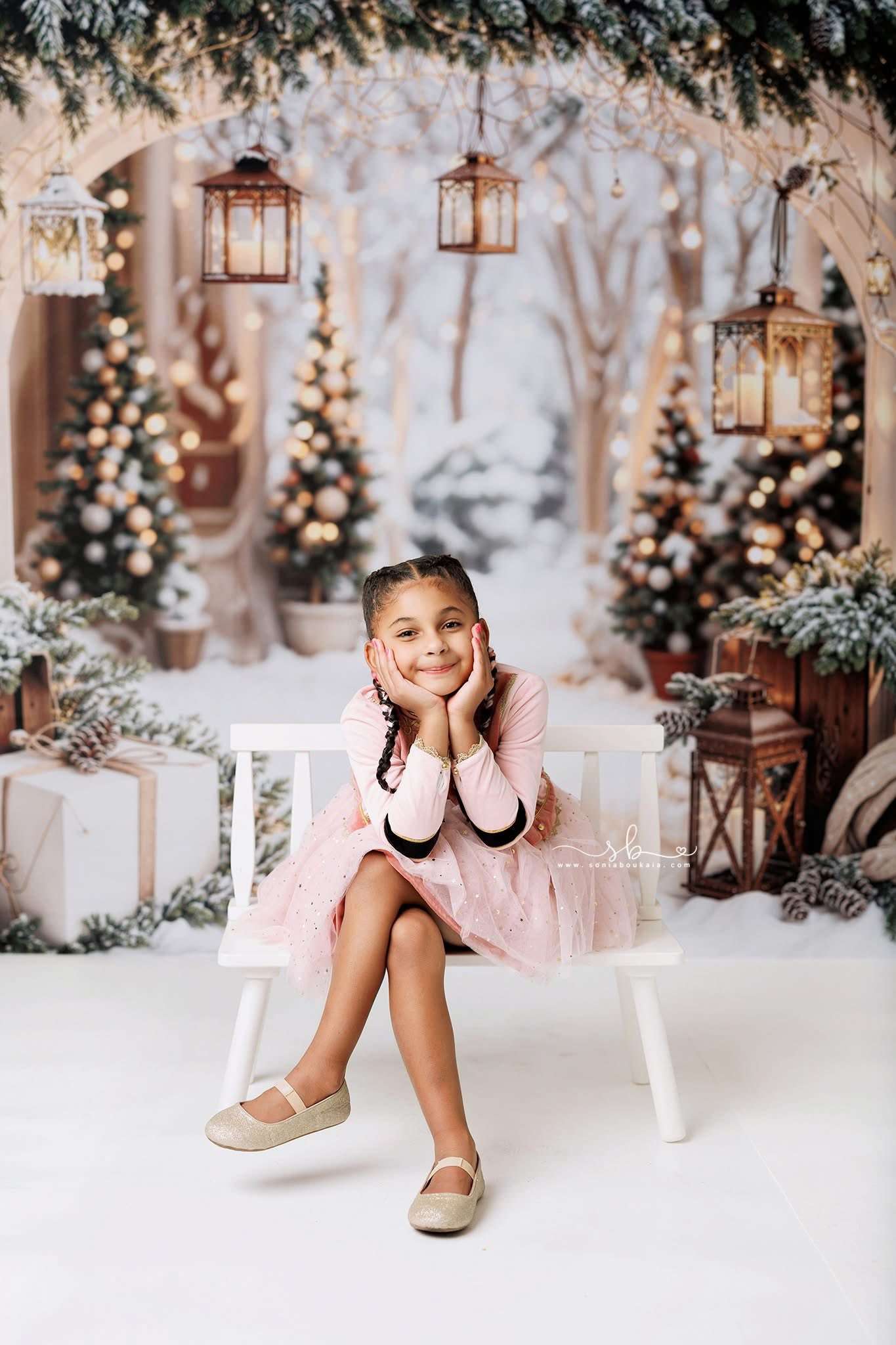 Kate Snow Christmas Arch Backdrop Designed by Emetselch - Kate Backdrop AU