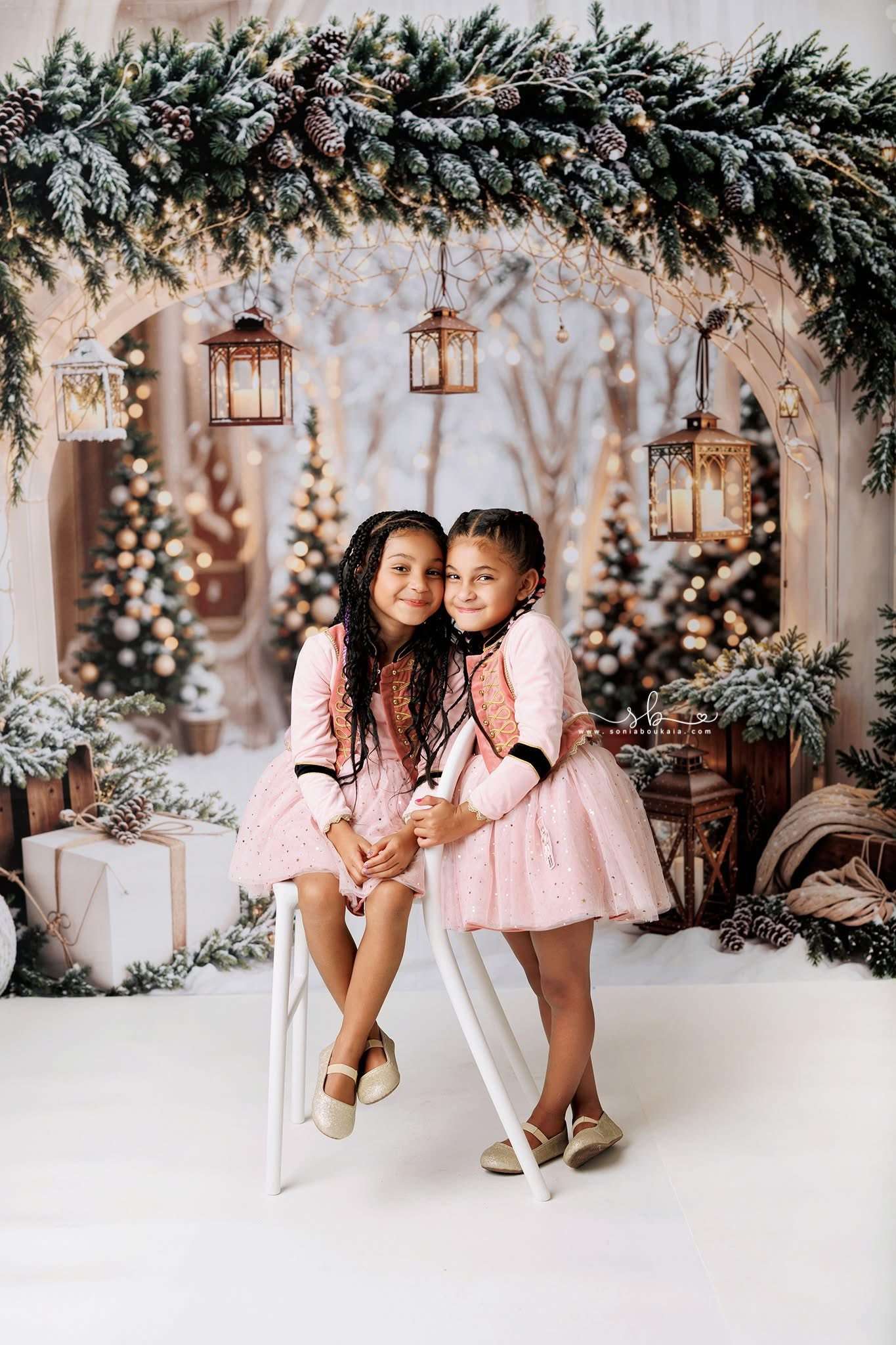 Kate Snow Christmas Arch Backdrop Designed by Emetselch - Kate Backdrop AU