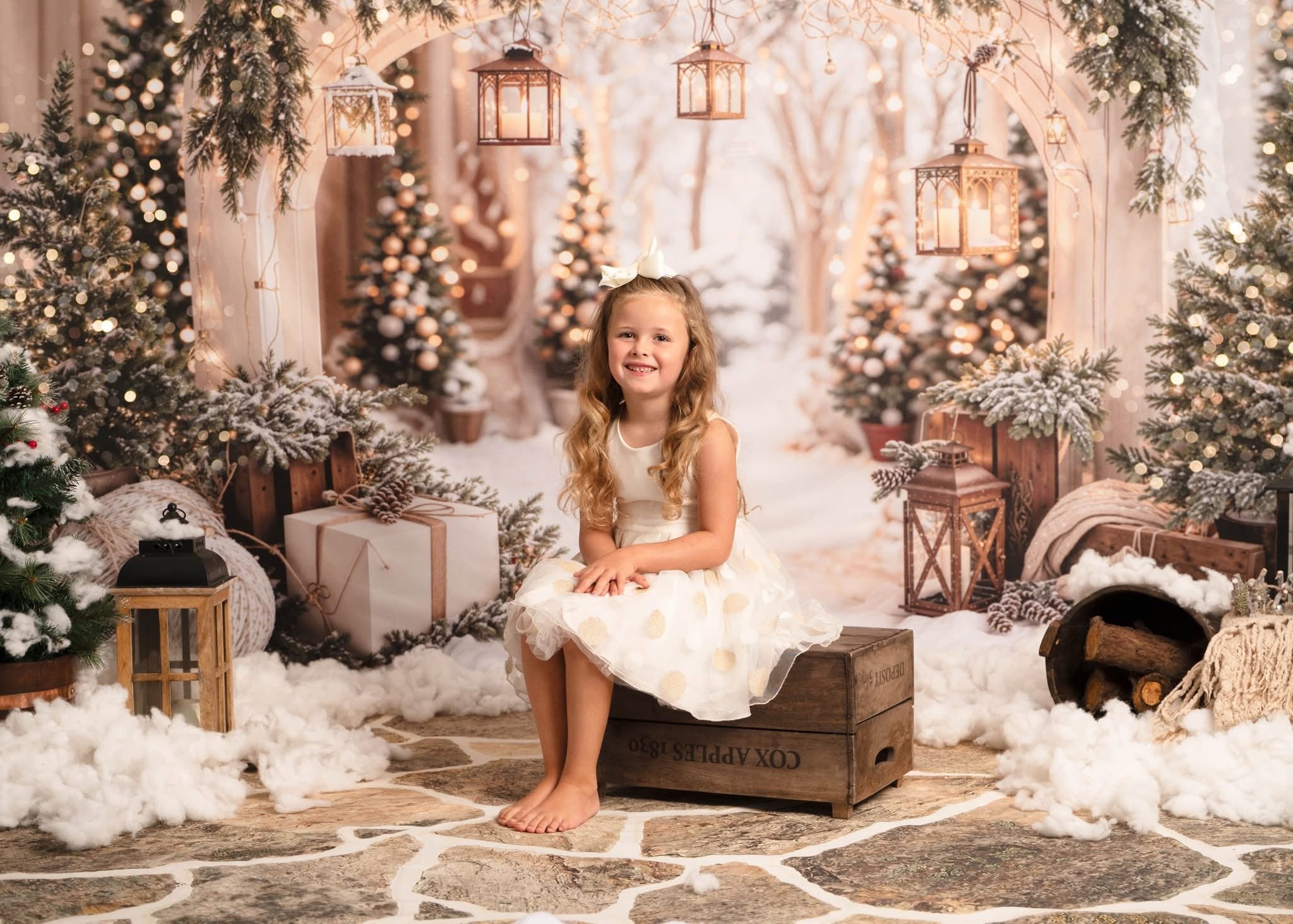 Kate Snow Christmas Arch Backdrop Designed by Emetselch - Kate Backdrop AU