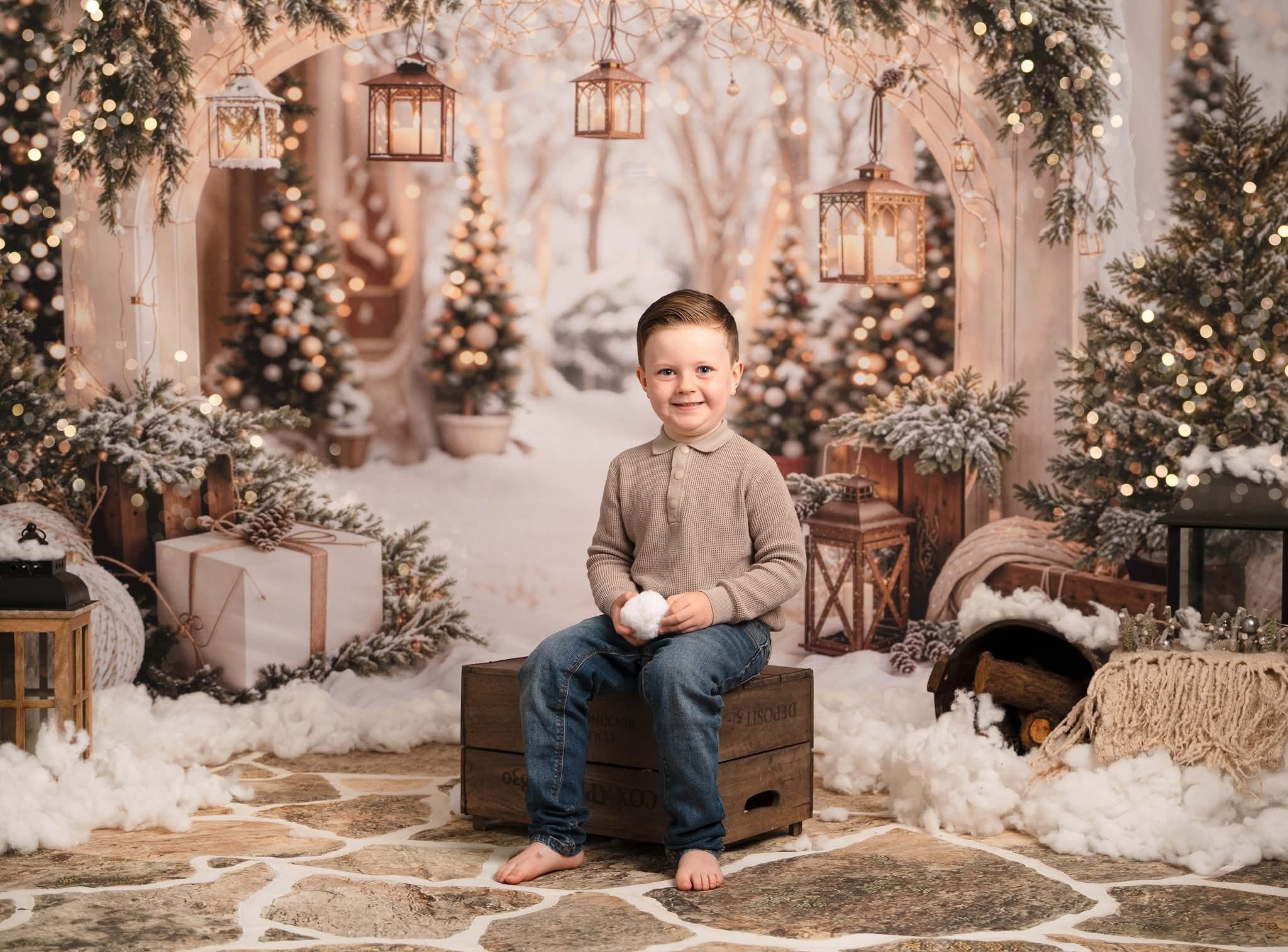 Kate Snow Christmas Arch Backdrop Designed by Emetselch - Kate Backdrop AU