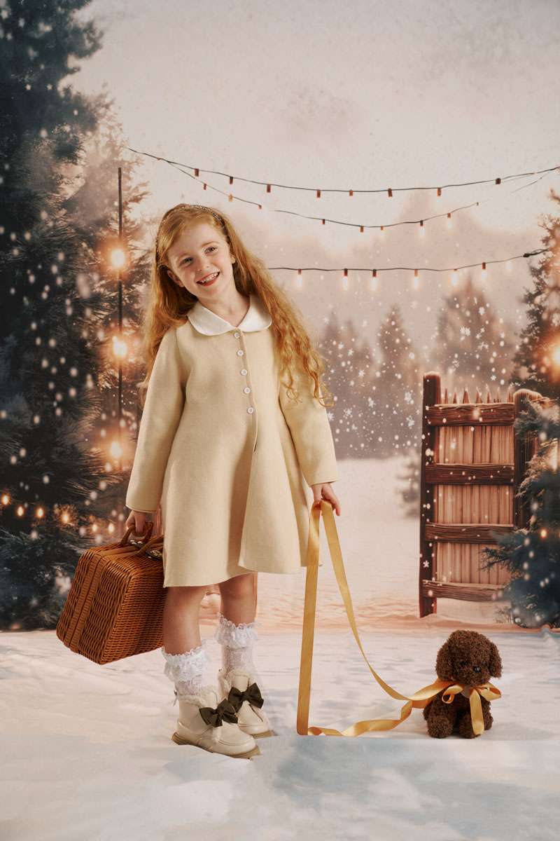 Kate Sweep Winter Snow Gate Backdrop Designed by Chain - Kate Backdrop AU