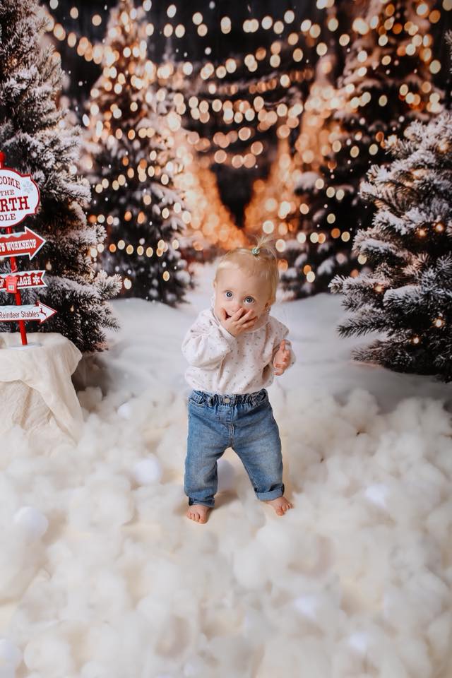 Kate Christmas Snowy Trees String Lights Backdrop Designed by Emetselch - Kate Backdrop AU