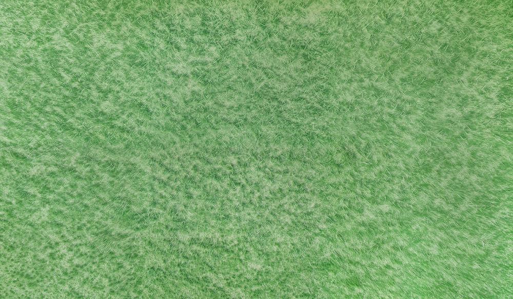 Kate Green Grass Rubber Floor Mat for Photography