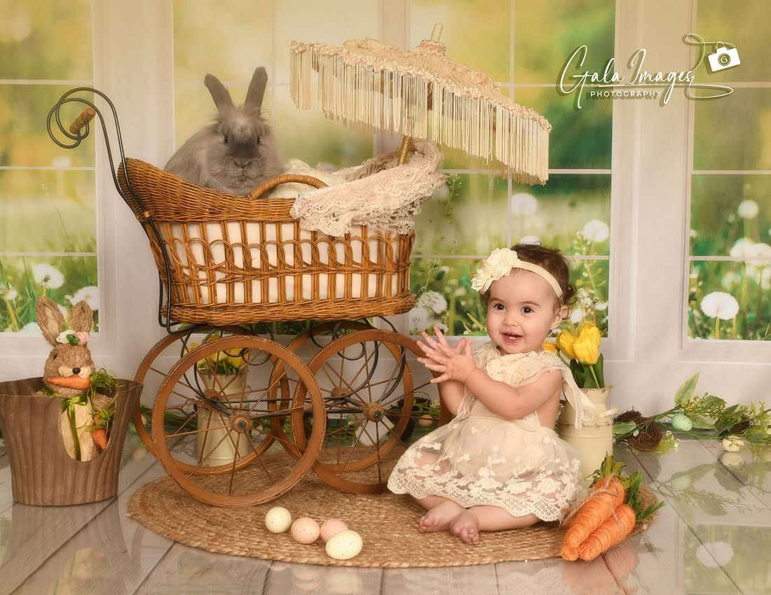 Kate Window Backdrop Spring Garden Designed by Emetselch - Kate Backdrop AU