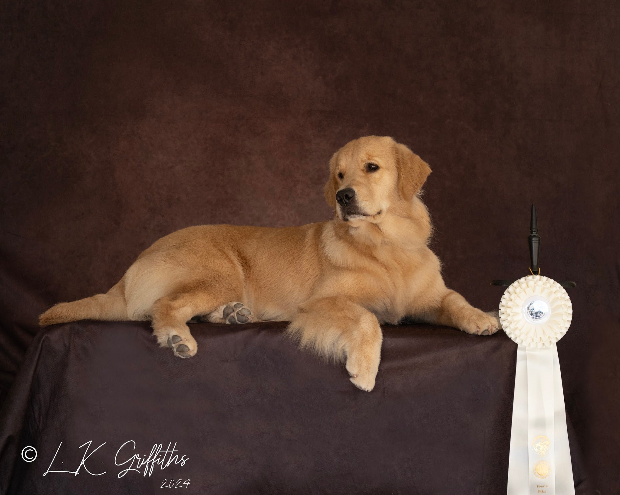 Kate Texture Abstract Fine Art Backdrop Designed by Kate Image - Kate Backdrop AU