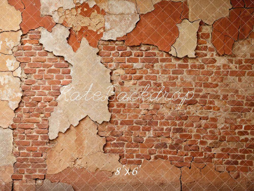 Kate Vintage Wall Exposed Brick Backdrop Designed by Mini MakeBelieve