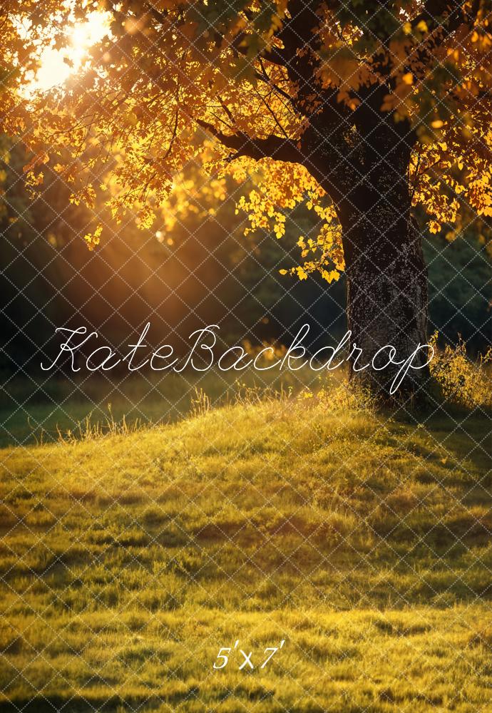 Kate Autumn Tree Sunlit Meadow Backdrop Designed by Chain