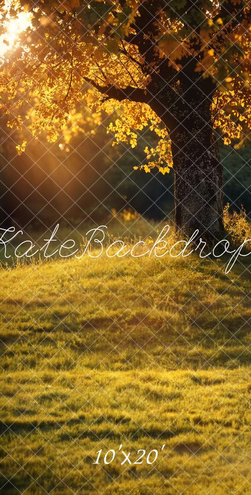 Kate Autumn Tree Sunlit Meadow Backdrop Designed by Chain