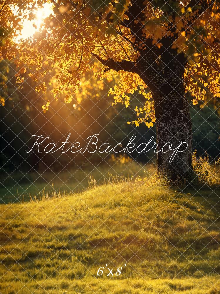 Kate Autumn Tree Sunlit Meadow Backdrop Designed by Chain