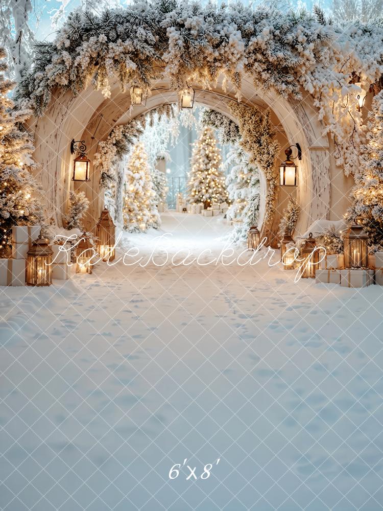 Kate Christmas Snowy Arch Fleece Backdrop Designed by Emetselch - Kate Backdrop AU