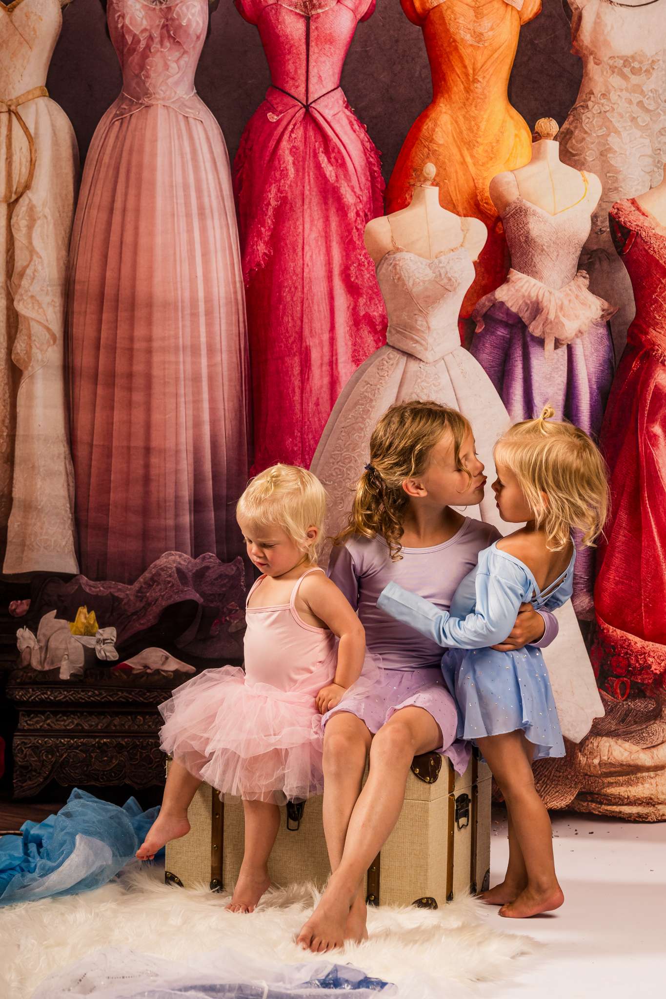 Kate Fairytale Princess Dress Up Closet Backdrop Designed by Mandy Ringe Photography - Kate Backdrop AU