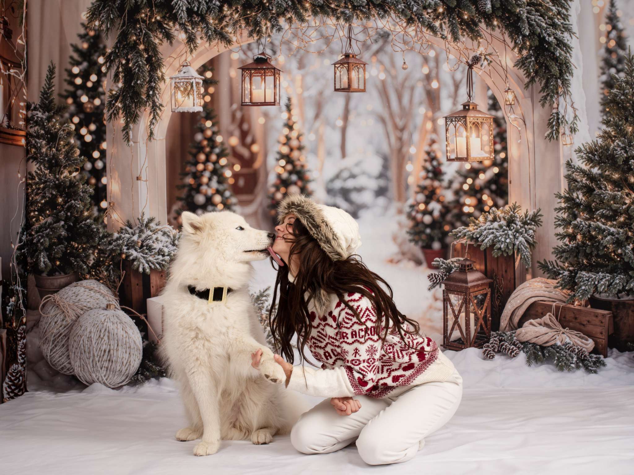 Kate Snow Christmas Arch Backdrop Designed by Emetselch - Kate Backdrop AU