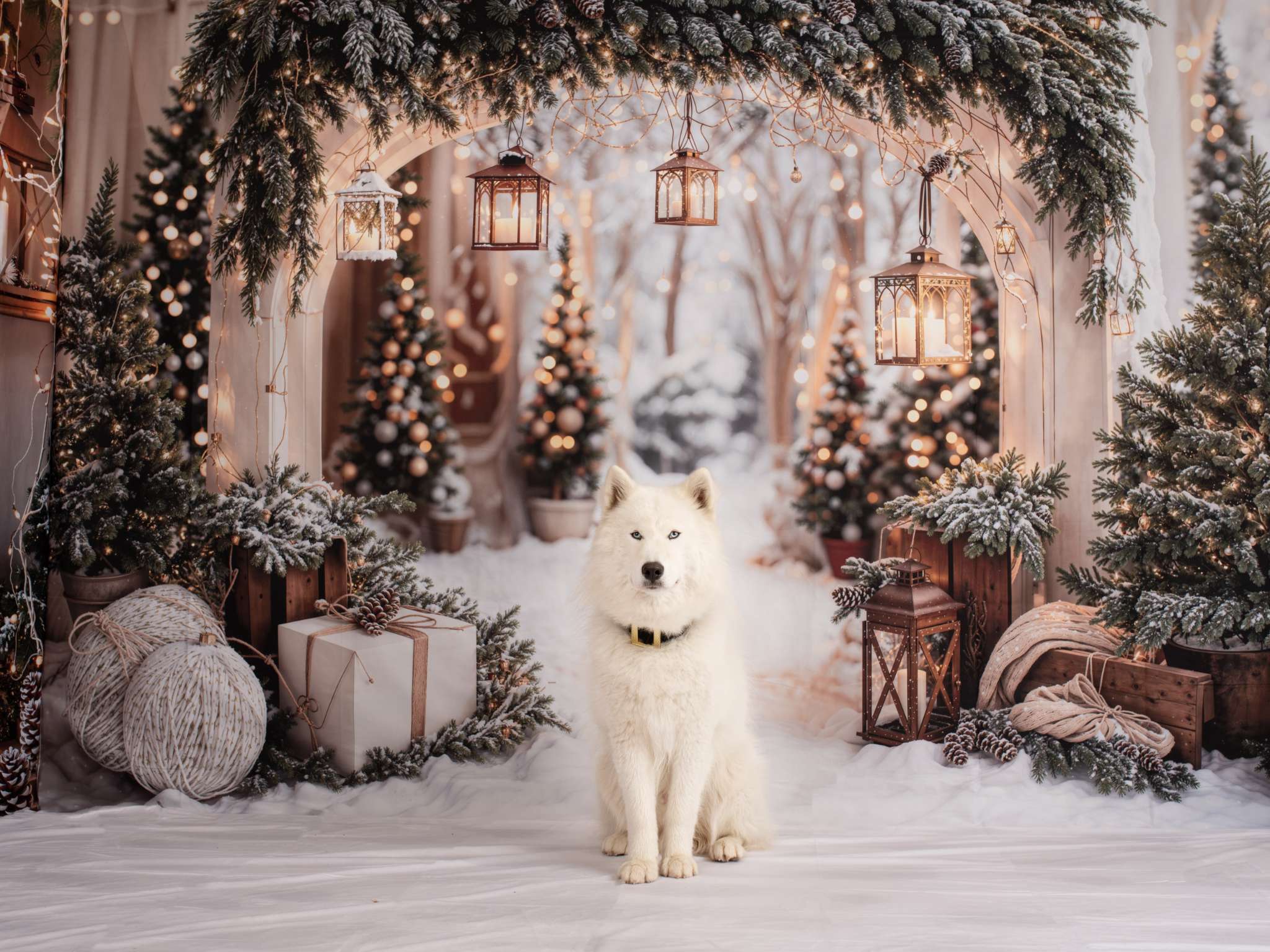Kate Snow Christmas Arch Backdrop Designed by Emetselch - Kate Backdrop AU