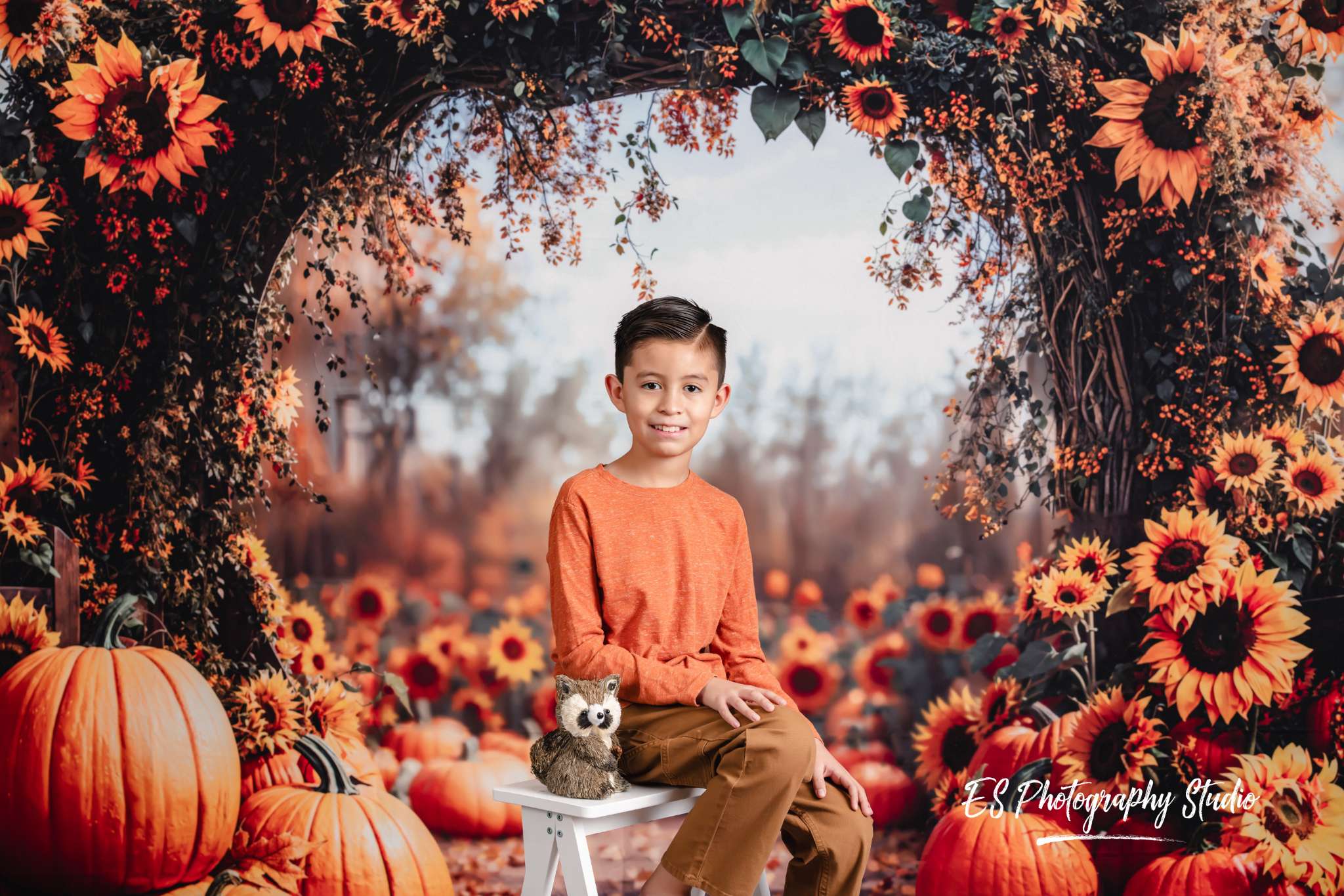 Kate Fleece Autumn Arch Pumpkin Backdrop Designed by Emetselch - Kate Backdrop AU