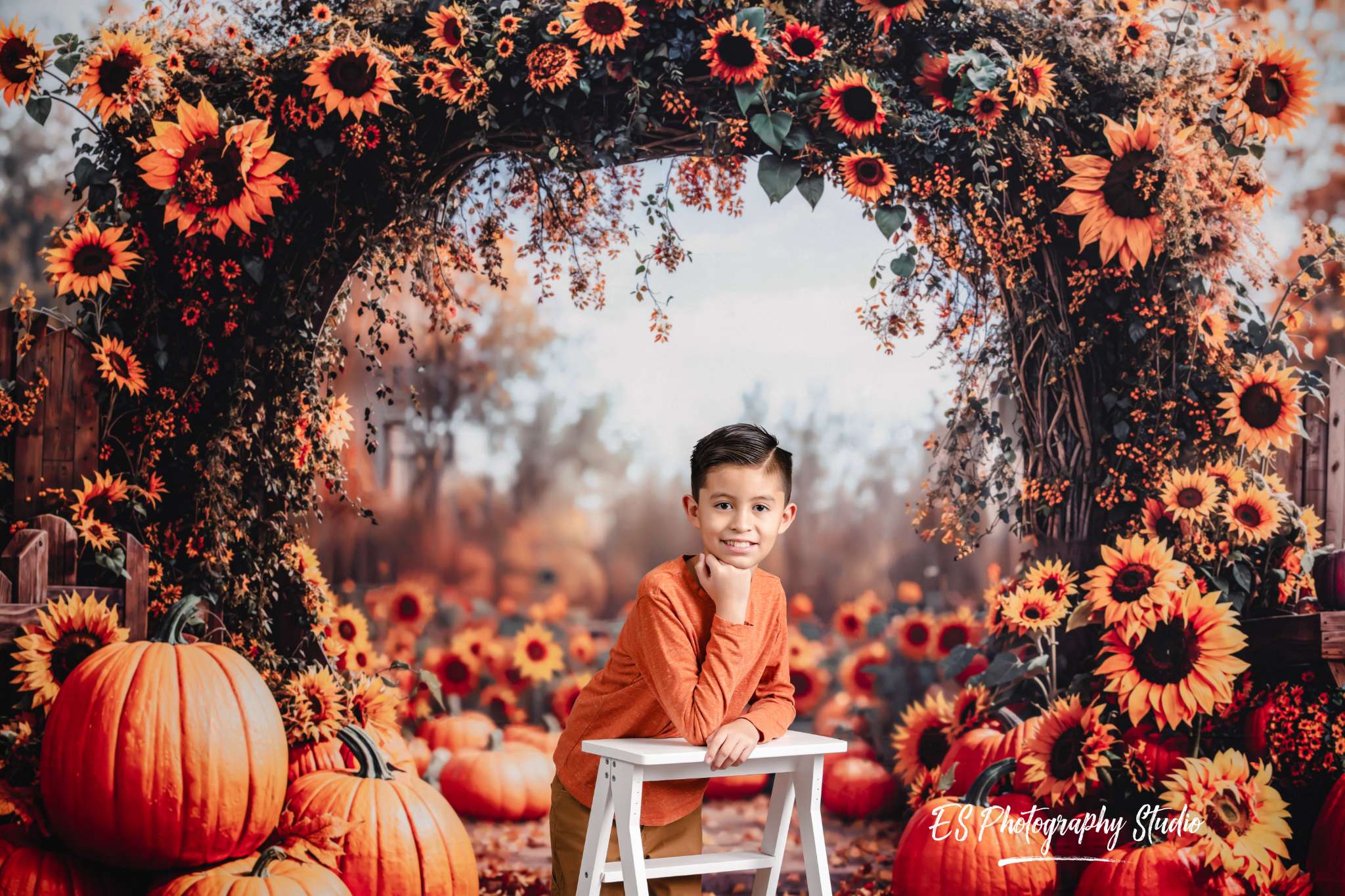 Kate Fleece Autumn Arch Pumpkin Backdrop Designed by Emetselch - Kate Backdrop AU
