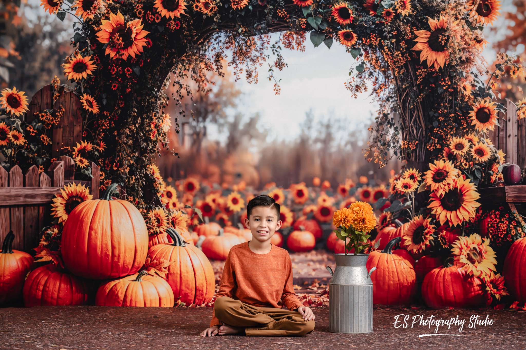 Kate Fleece Autumn Arch Pumpkin Backdrop Designed by Emetselch - Kate Backdrop AU