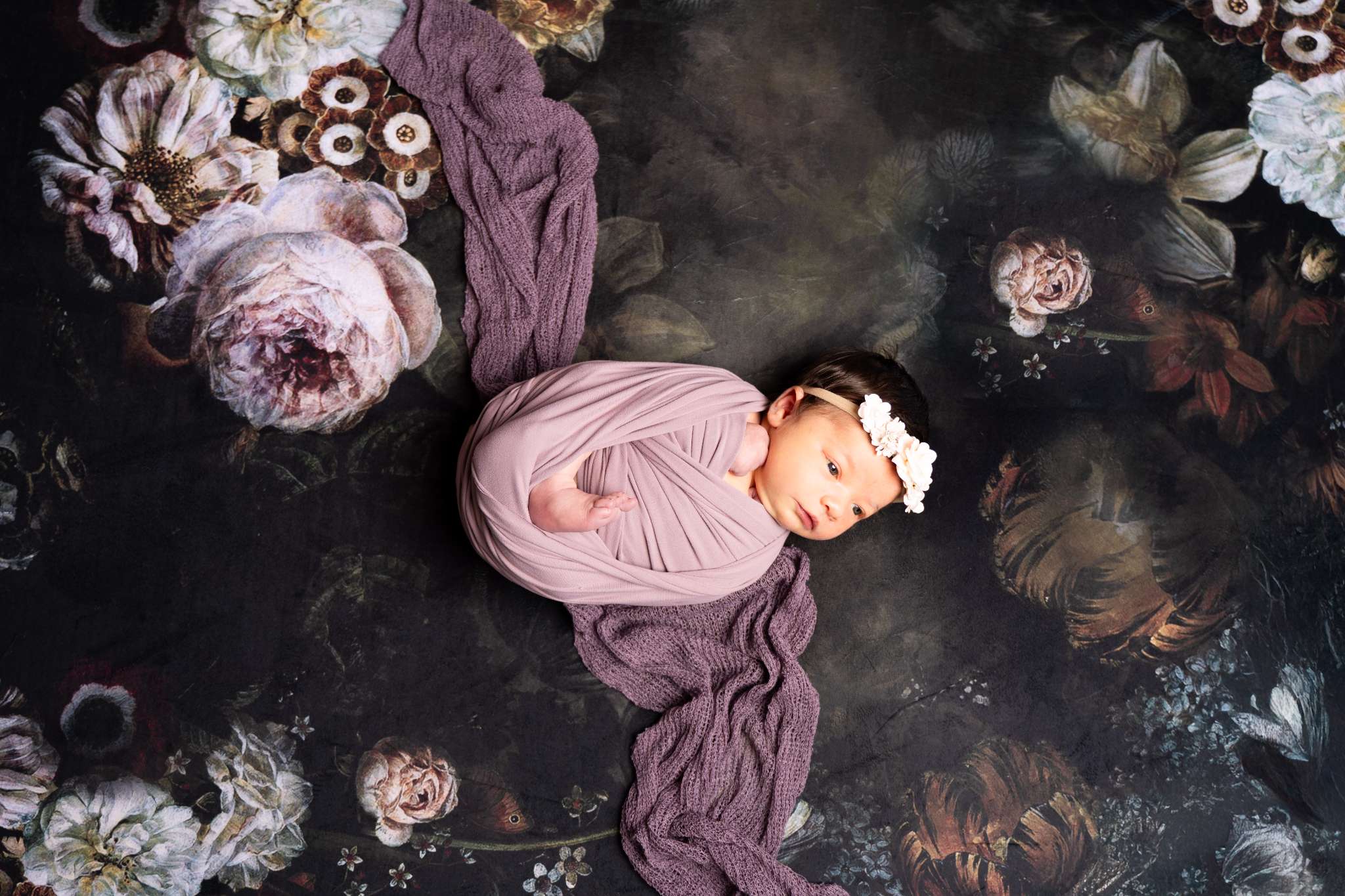 Kate Fine Art Dark/Brown Floral Collapsible Backdrop Photography 5X6.5ft(1.5x2m) - Kate Backdrop AU