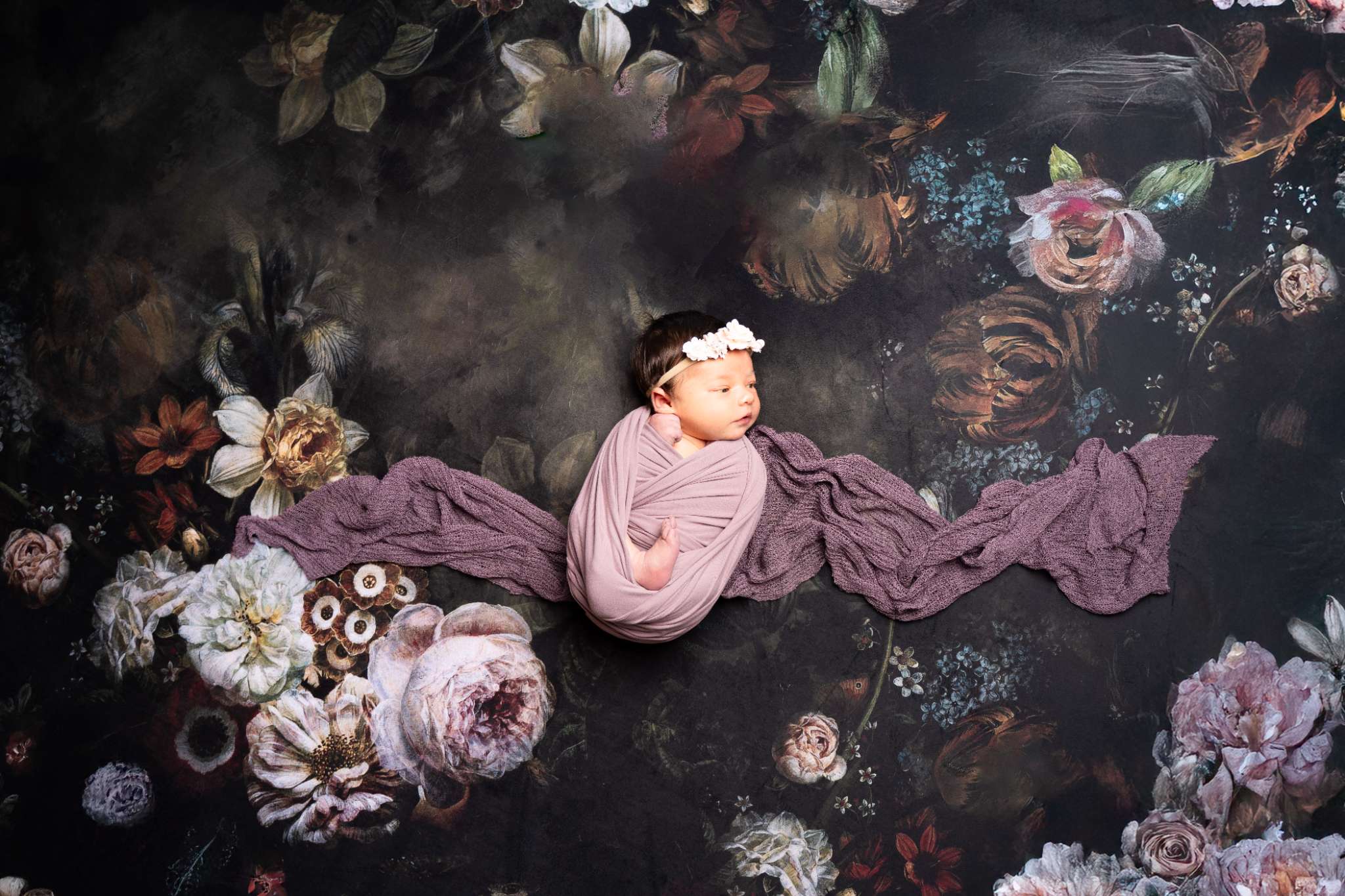 Kate Fine Art Dark/Brown Floral Collapsible Backdrop Photography 5X6.5ft(1.5x2m) - Kate Backdrop AU