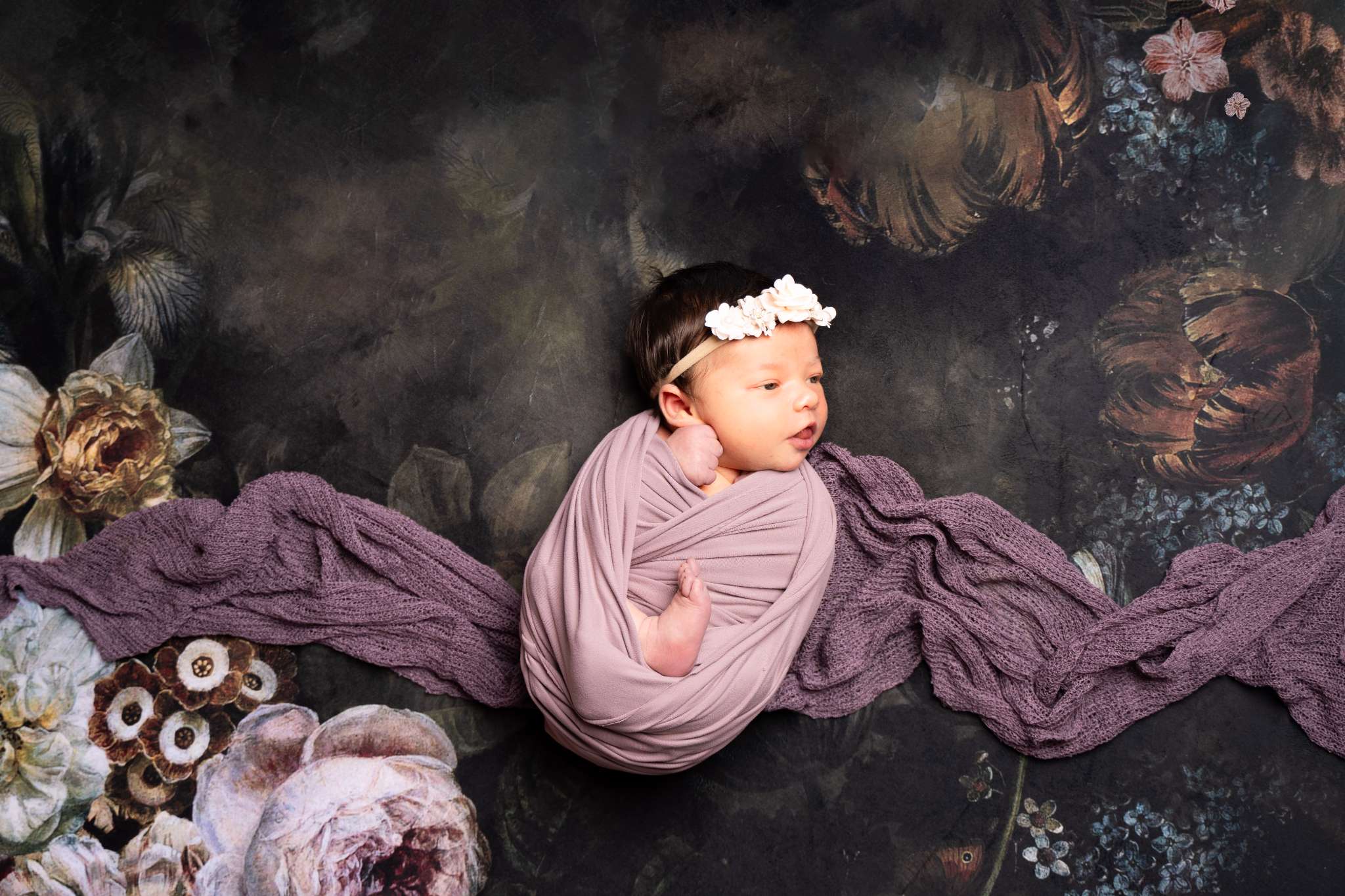 Kate Fine Art Dark/Brown Floral Collapsible Backdrop Photography 5X6.5ft(1.5x2m) - Kate Backdrop AU