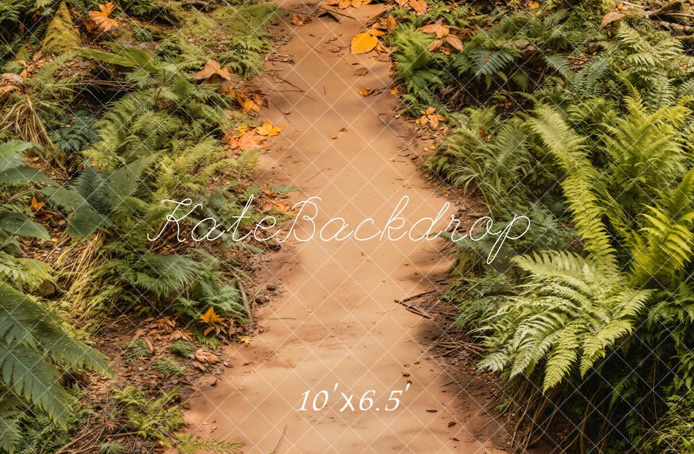Kate Forest Ferns Dirt Path Backdrop Designed by Emetselch - Kate Backdrop AU